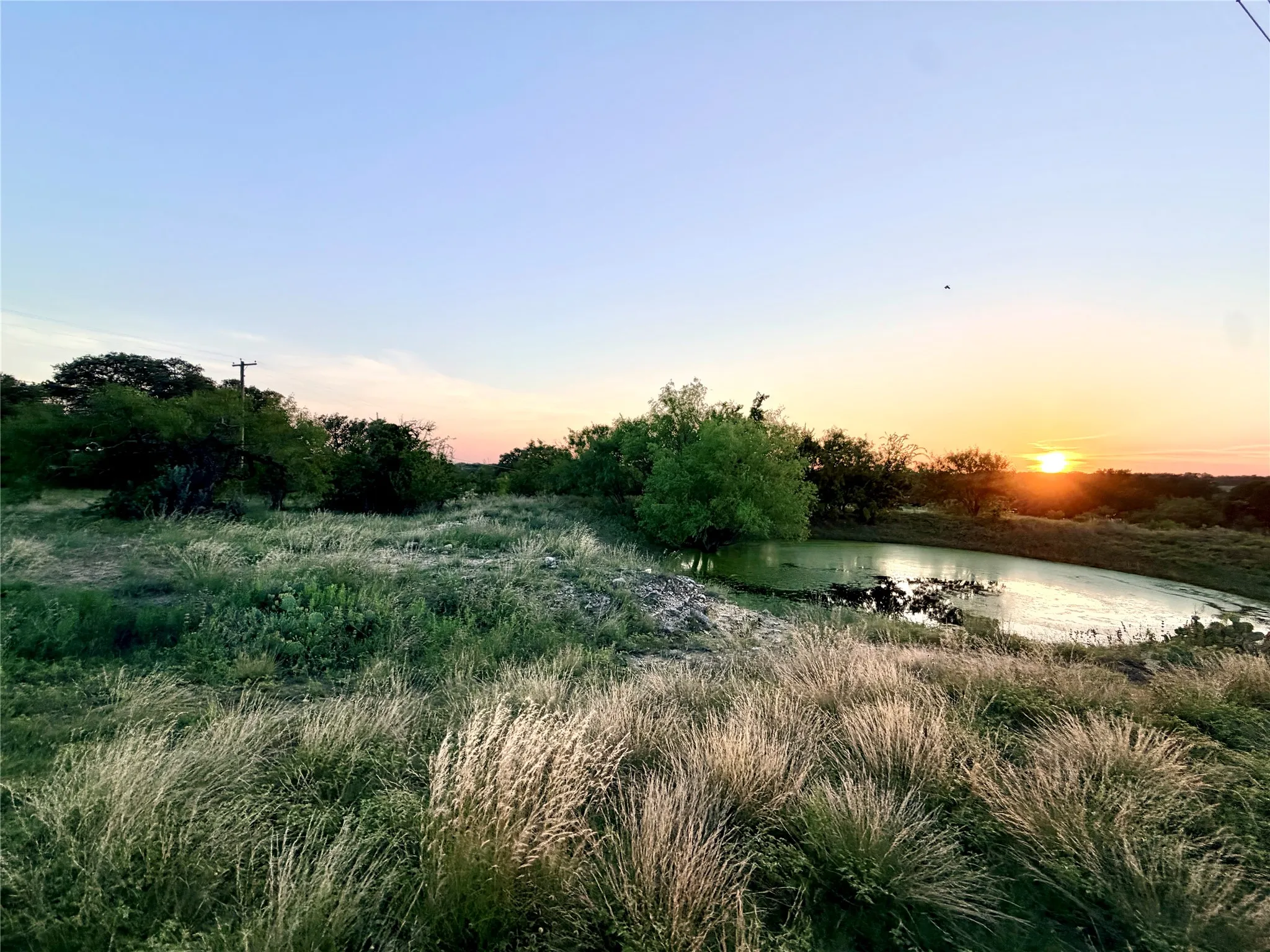Ranch For Sale in Mills County , 82 State Highway 16 S, Goldthwaite, Texas 76844, 0, 0, Garage spaces, 0 Sqft, built in 0, mls#21340486, Real Estate Agent in Goldthwaite, Homes For Sale in Mills county, Homes For Sale in Goldthwaite, Realtor in Goldthwaite Texas, Real Estate Brokerage Independent Realty Texas, Luminita Cordes Realtor