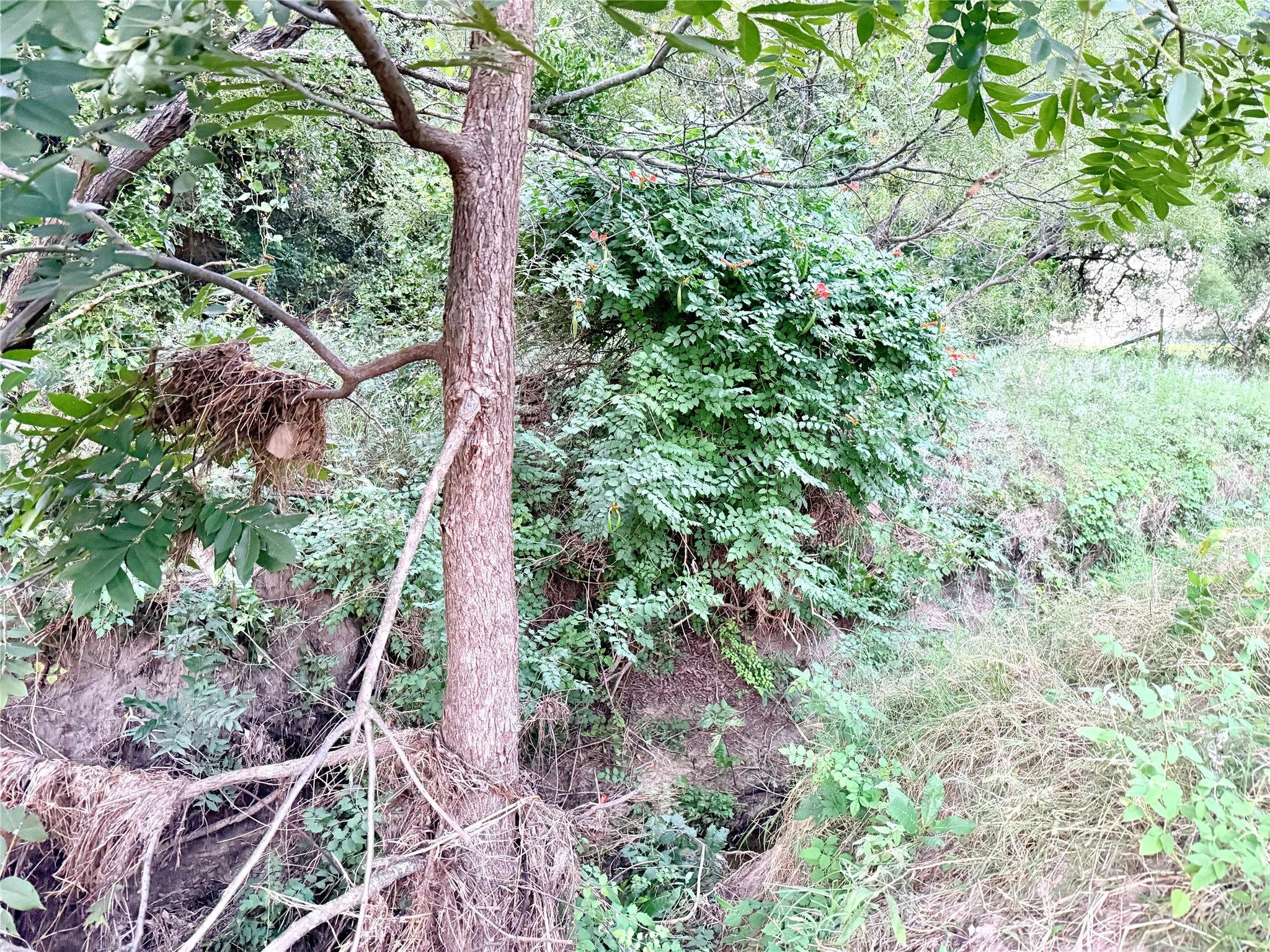 Ranch For Sale in Mills County , 82 State Highway 16 S, Goldthwaite, Texas 76844, 0, 0, Garage spaces, 0 Sqft, built in 0, mls#21340486, Real Estate Agent in Goldthwaite, Homes For Sale in Mills county, Homes For Sale in Goldthwaite, Realtor in Goldthwaite Texas, Real Estate Brokerage Independent Realty Texas, Luminita Cordes Realtor