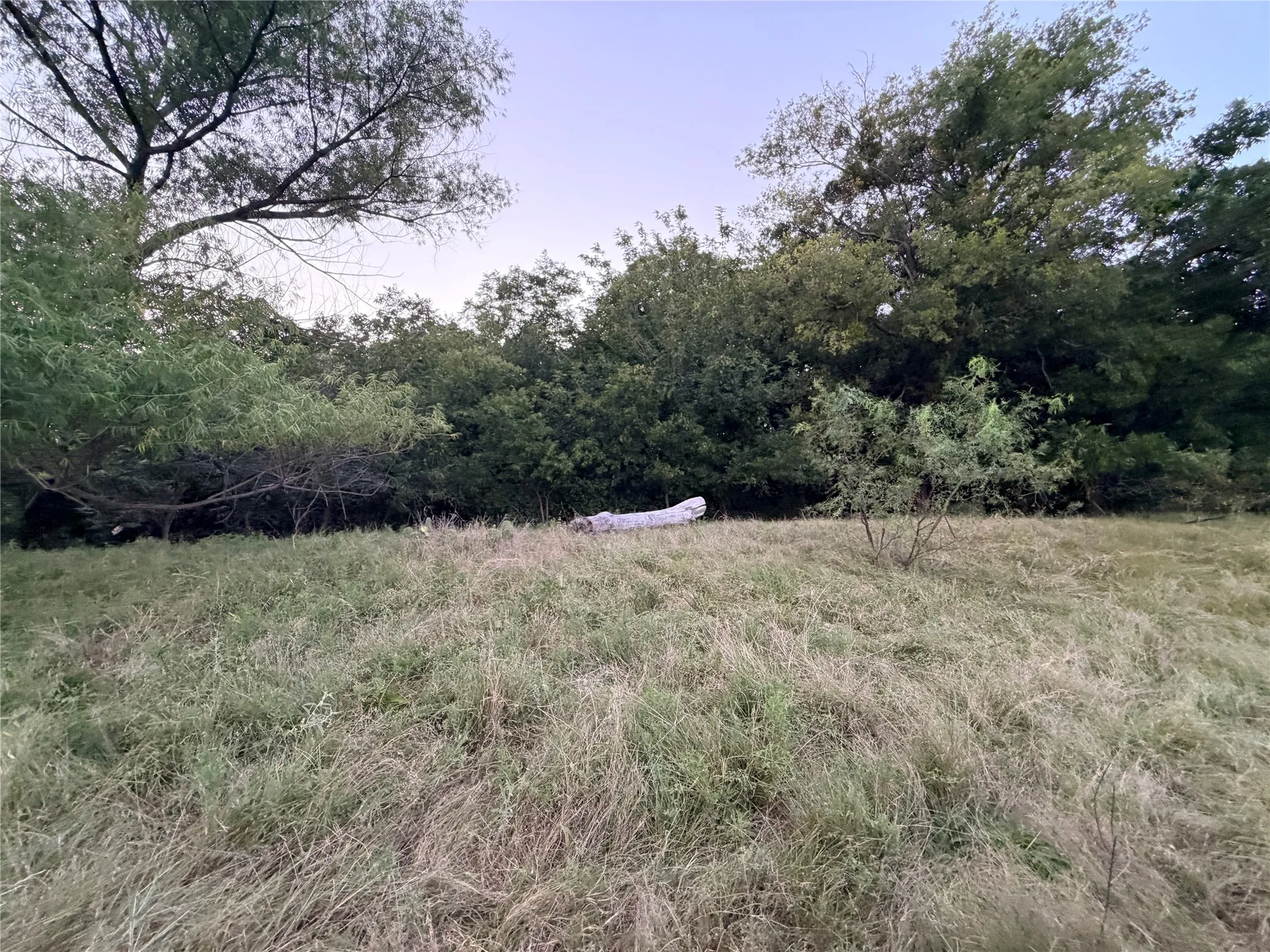 Ranch For Sale in Mills County , 82 State Highway 16 S, Goldthwaite, Texas 76844, 0, 0, Garage spaces, 0 Sqft, built in 0, mls#21340486, Real Estate Agent in Goldthwaite, Homes For Sale in Mills county, Homes For Sale in Goldthwaite, Realtor in Goldthwaite Texas, Real Estate Brokerage Independent Realty Texas, Luminita Cordes Realtor