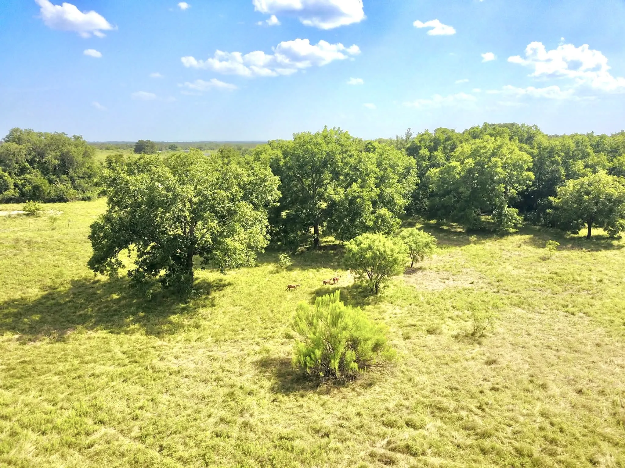 Ranch For Sale in Mills County , 82 State Highway 16 S, Goldthwaite, Texas 76844, 0, 0, Garage spaces, 0 Sqft, built in 0, mls#21340486, Real Estate Agent in Goldthwaite, Homes For Sale in Mills county, Homes For Sale in Goldthwaite, Realtor in Goldthwaite Texas, Real Estate Brokerage Independent Realty Texas, Luminita Cordes Realtor
