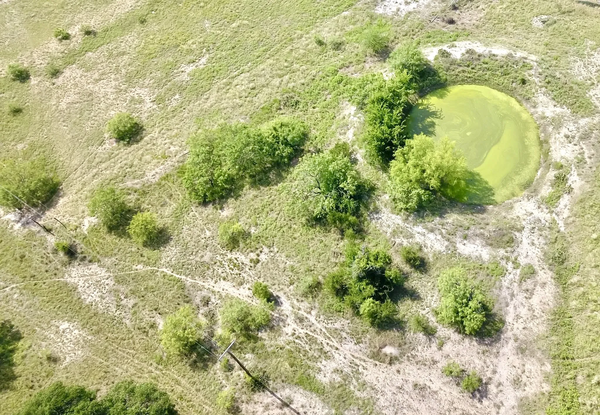 Ranch For Sale in Mills County , 82 State Highway 16 S, Goldthwaite, Texas 76844, 0, 0, Garage spaces, 0 Sqft, built in 0, mls#21340486, Real Estate Agent in Goldthwaite, Homes For Sale in Mills county, Homes For Sale in Goldthwaite, Realtor in Goldthwaite Texas, Real Estate Brokerage Independent Realty Texas, Luminita Cordes Realtor