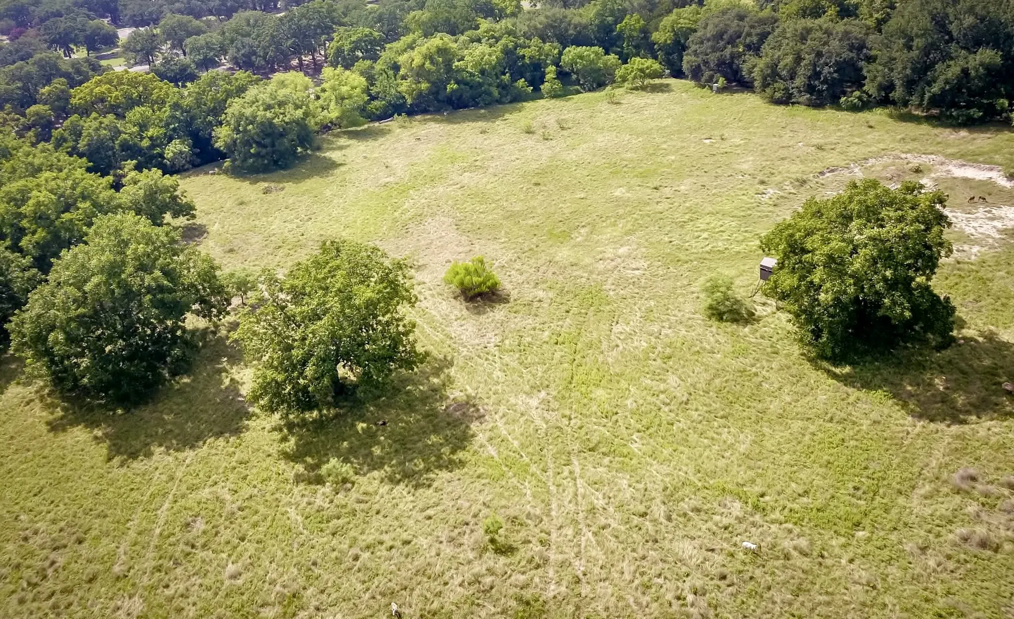 Ranch For Sale in Mills County , 82 State Highway 16 S, Goldthwaite, Texas 76844, 0, 0, Garage spaces, 0 Sqft, built in 0, mls#21340486, Real Estate Agent in Goldthwaite, Homes For Sale in Mills county, Homes For Sale in Goldthwaite, Realtor in Goldthwaite Texas, Real Estate Brokerage Independent Realty Texas, Luminita Cordes Realtor
