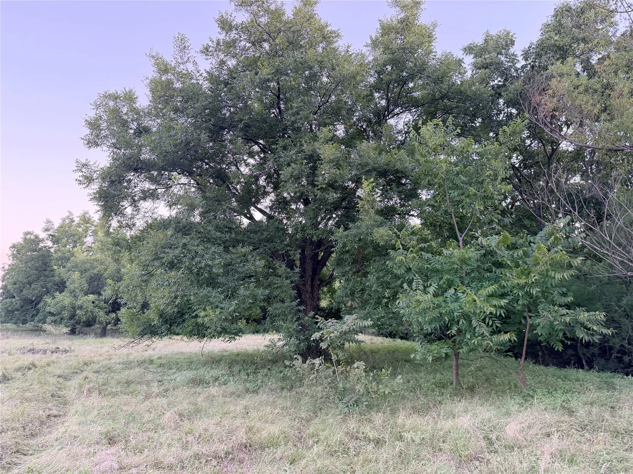 Ranch For Sale in Mills County , 82 State Highway 16 S, Goldthwaite, Texas 76844, 0, 0, Garage spaces, 0 Sqft, built in 0, mls#21340486, Real Estate Agent in Goldthwaite, Homes For Sale in Mills county, Homes For Sale in Goldthwaite, Realtor in Goldthwaite Texas, Real Estate Brokerage Independent Realty Texas, Luminita Cordes Realtor