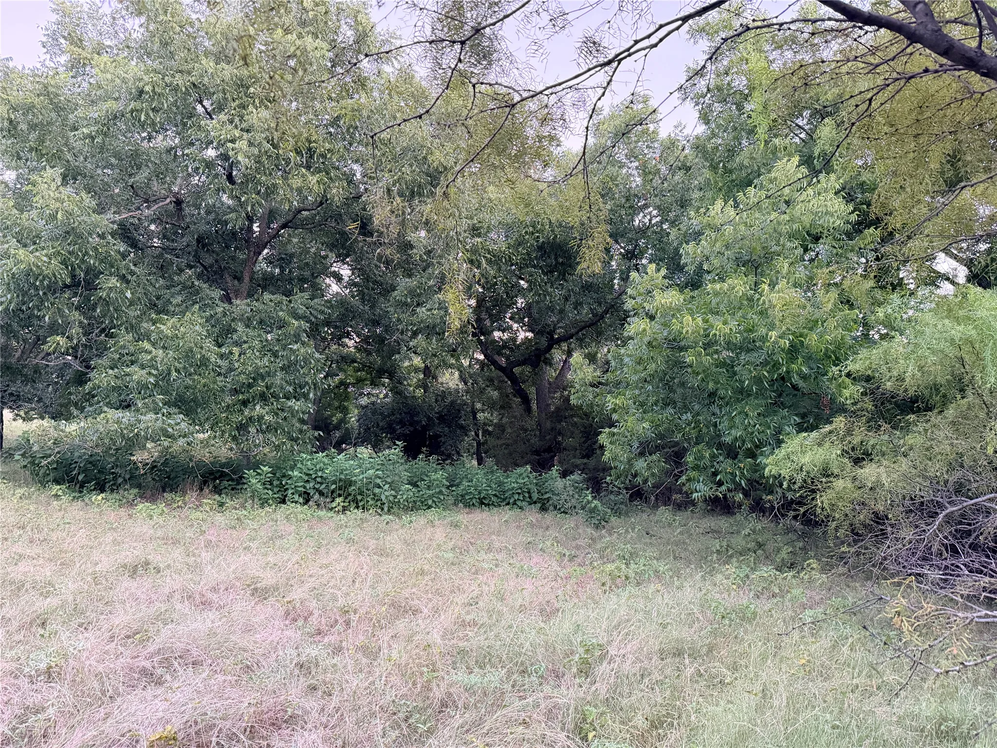 Ranch For Sale in Mills County , 82 State Highway 16 S, Goldthwaite, Texas 76844, 0, 0, Garage spaces, 0 Sqft, built in 0, mls#21340486, Real Estate Agent in Goldthwaite, Homes For Sale in Mills county, Homes For Sale in Goldthwaite, Realtor in Goldthwaite Texas, Real Estate Brokerage Independent Realty Texas, Luminita Cordes Realtor
