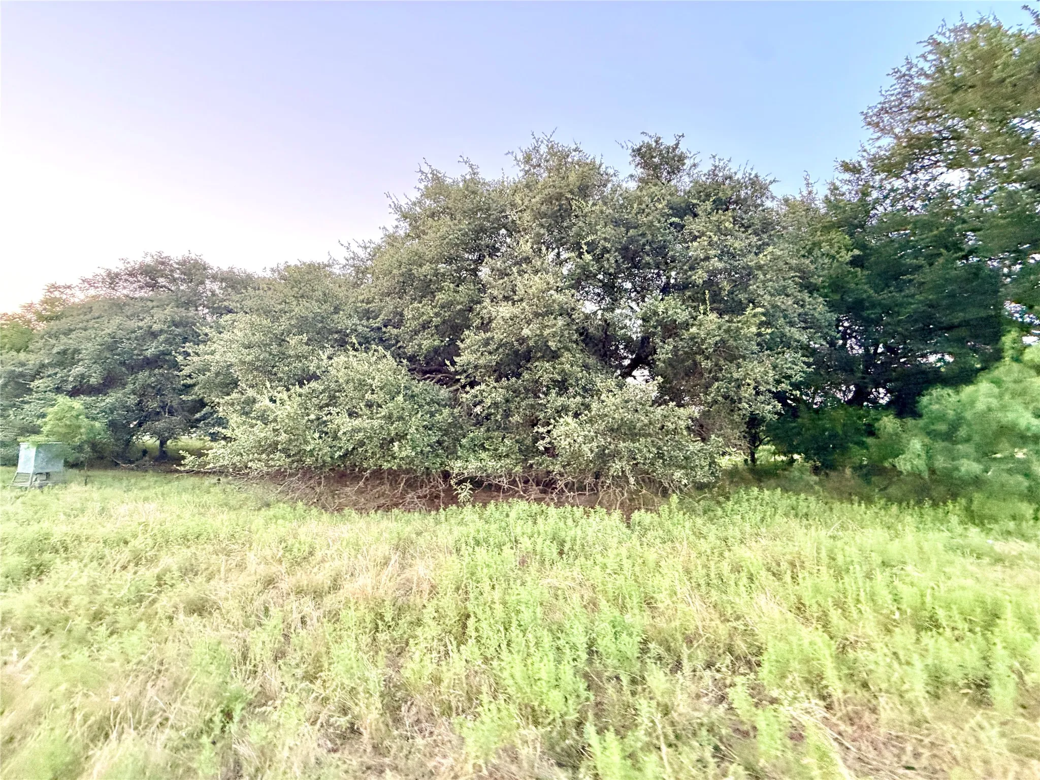 Ranch For Sale in Mills County , 82 State Highway 16 S, Goldthwaite, Texas 76844, 0, 0, Garage spaces, 0 Sqft, built in 0, mls#21340486, Real Estate Agent in Goldthwaite, Homes For Sale in Mills county, Homes For Sale in Goldthwaite, Realtor in Goldthwaite Texas, Real Estate Brokerage Independent Realty Texas, Luminita Cordes Realtor