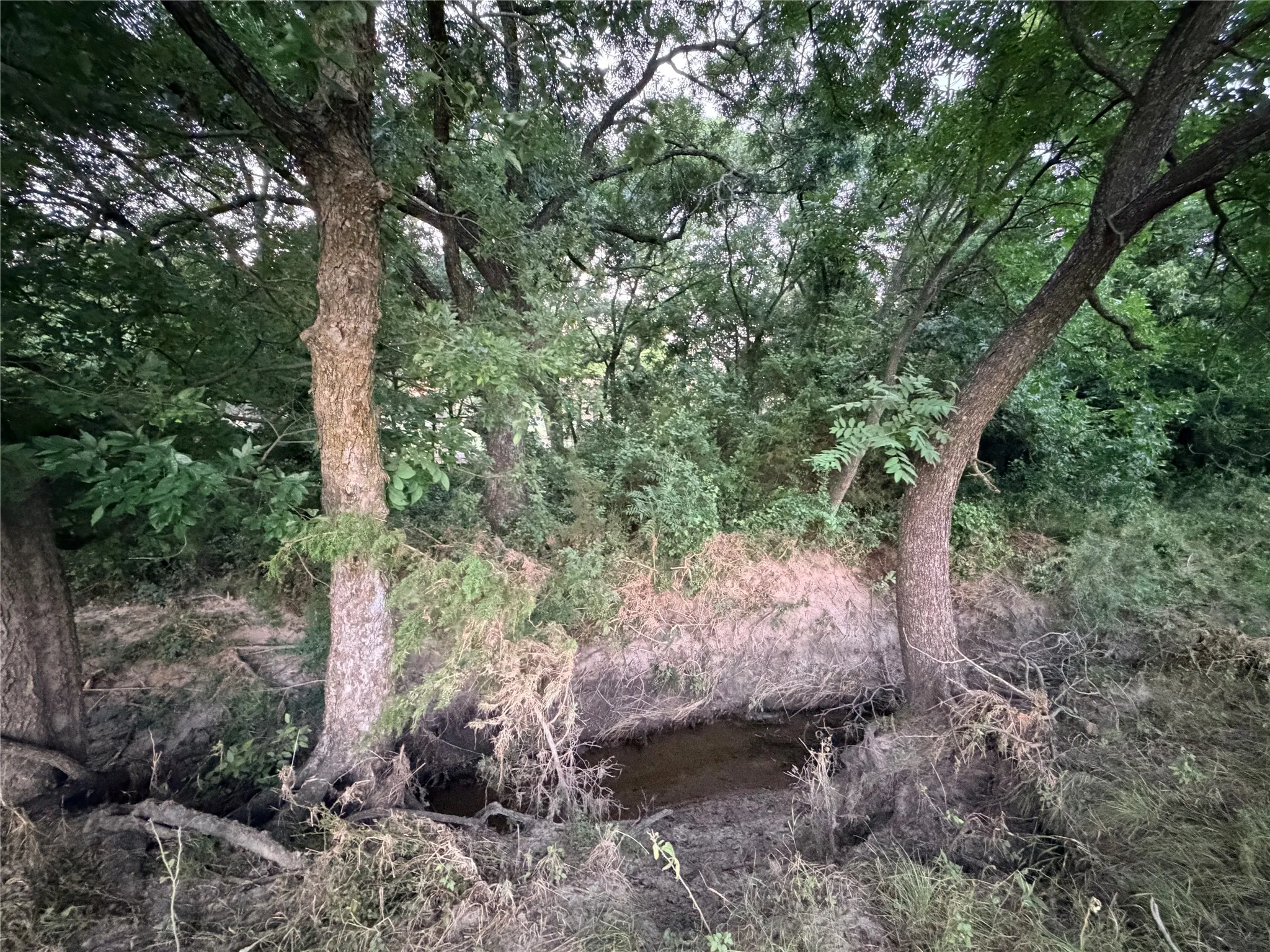 Ranch For Sale in Mills County , 82 State Highway 16 S, Goldthwaite, Texas 76844, 0, 0, Garage spaces, 0 Sqft, built in 0, mls#21340486, Real Estate Agent in Goldthwaite, Homes For Sale in Mills county, Homes For Sale in Goldthwaite, Realtor in Goldthwaite Texas, Real Estate Brokerage Independent Realty Texas, Luminita Cordes Realtor