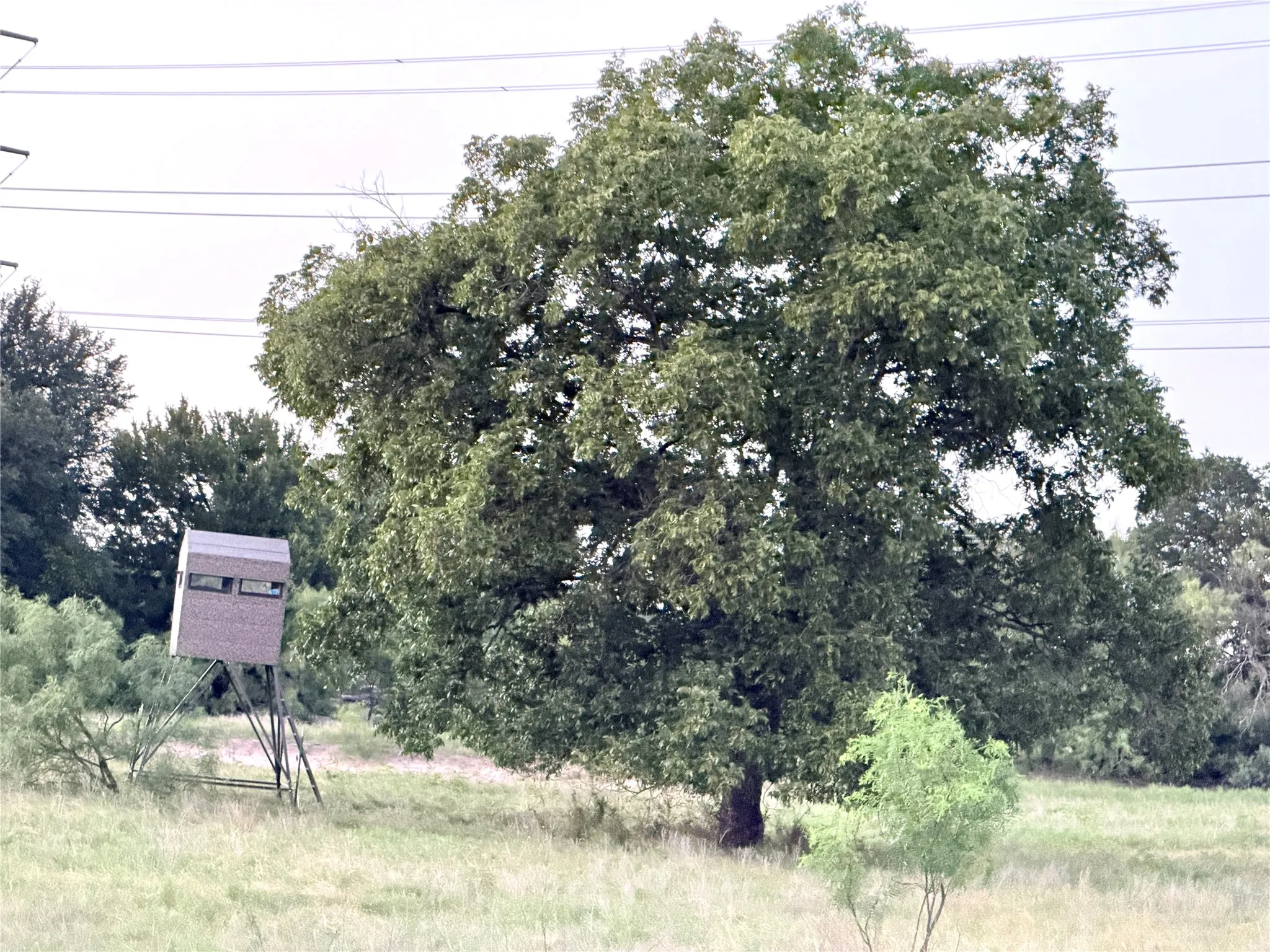 Ranch For Sale in Mills County , 82 State Highway 16 S, Goldthwaite, Texas 76844, 0, 0, Garage spaces, 0 Sqft, built in 0, mls#21340486, Real Estate Agent in Goldthwaite, Homes For Sale in Mills county, Homes For Sale in Goldthwaite, Realtor in Goldthwaite Texas, Real Estate Brokerage Independent Realty Texas, Luminita Cordes Realtor