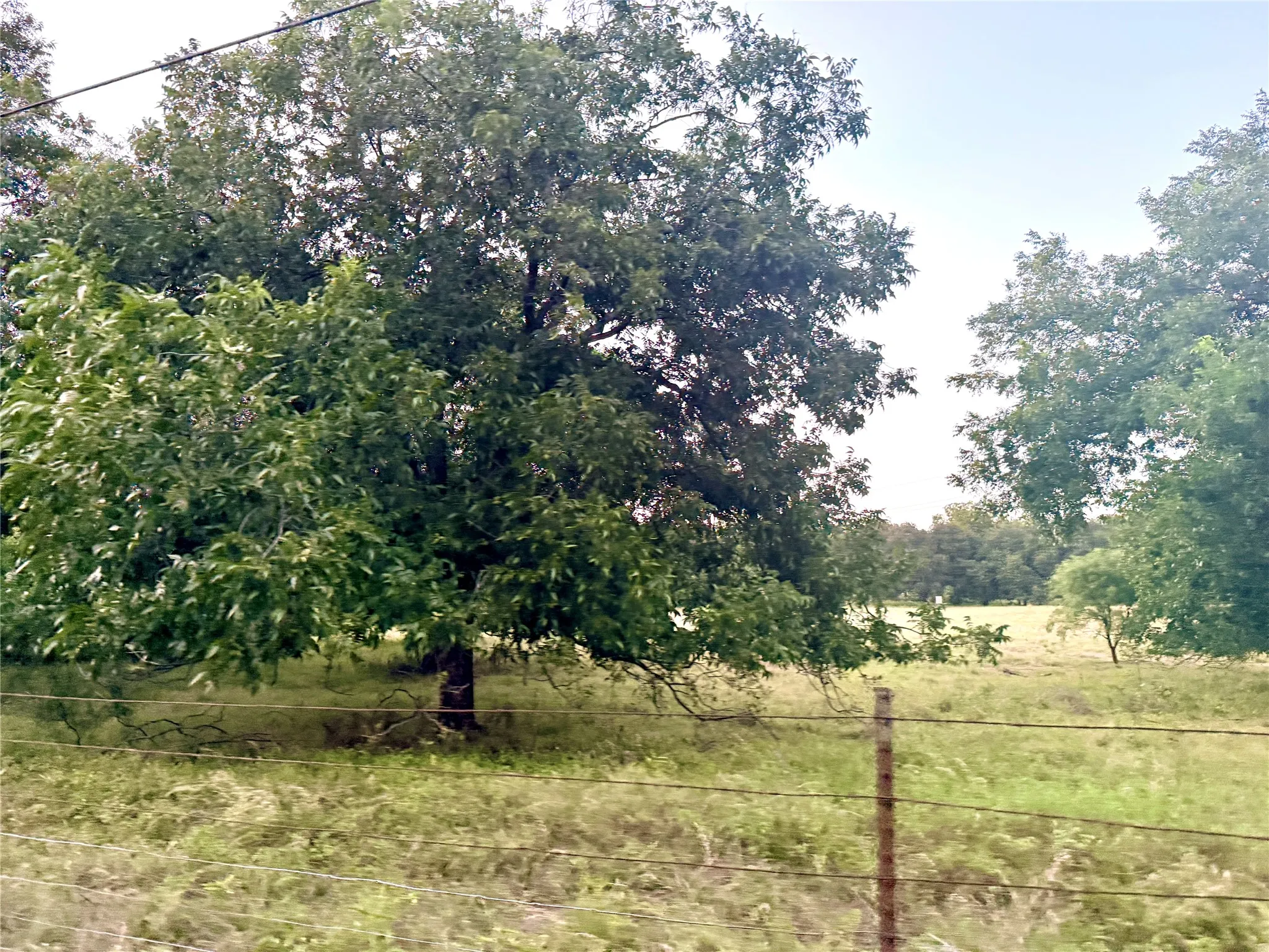Ranch For Sale in Mills County , 82 State Highway 16 S, Goldthwaite, Texas 76844, 0, 0, Garage spaces, 0 Sqft, built in 0, mls#21340486, Real Estate Agent in Goldthwaite, Homes For Sale in Mills county, Homes For Sale in Goldthwaite, Realtor in Goldthwaite Texas, Real Estate Brokerage Independent Realty Texas, Luminita Cordes Realtor