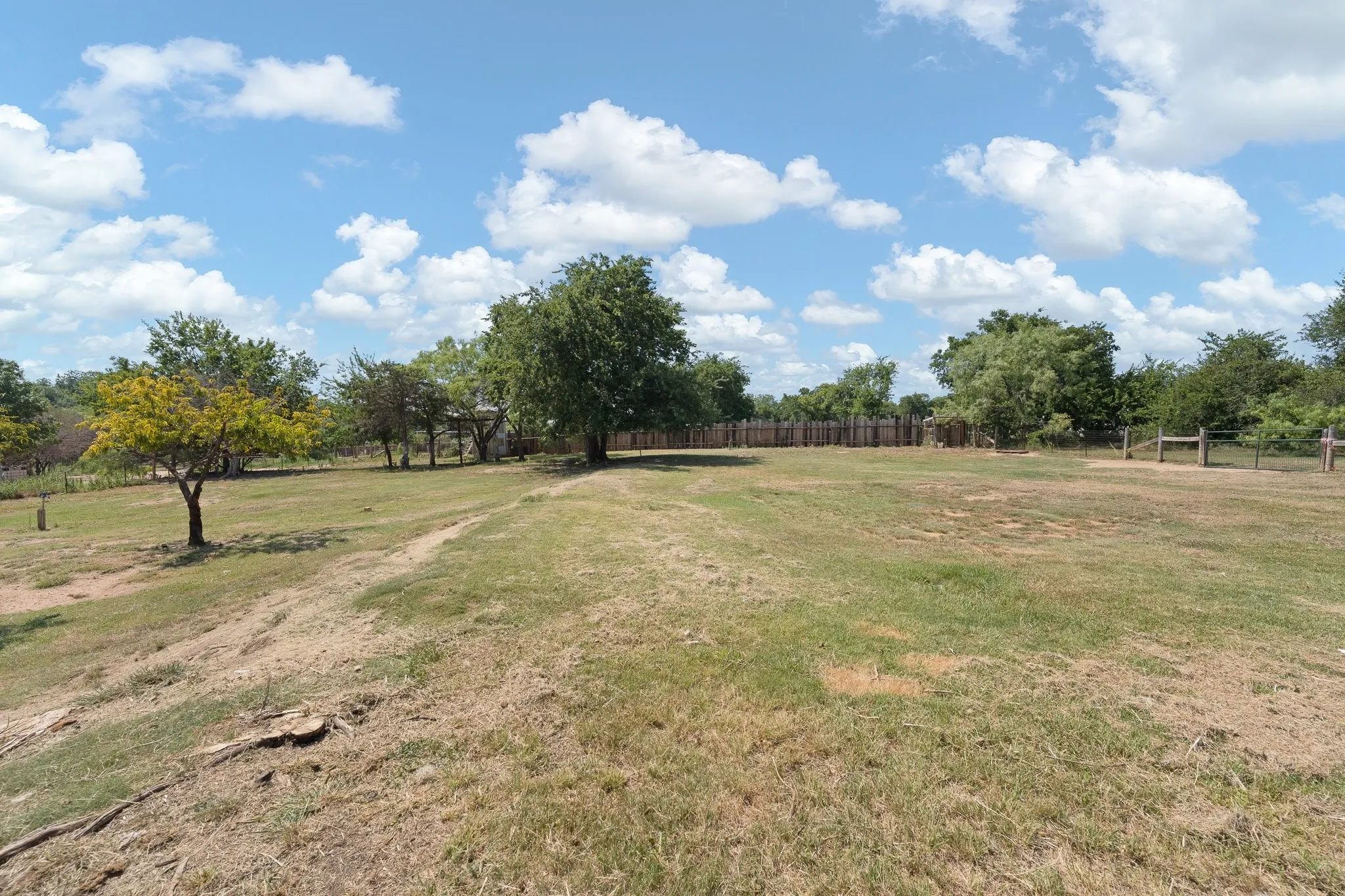 Expansive outdoor space featuring a mix of mature trees and open grassy areas