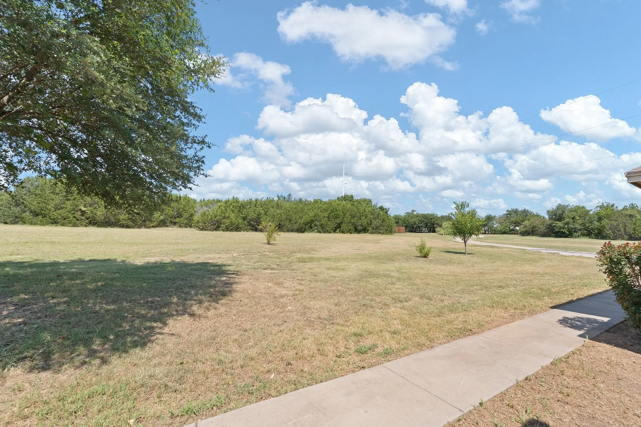 Expansive open lot featuring a concrete pathway, mature trees, and natural landscaping