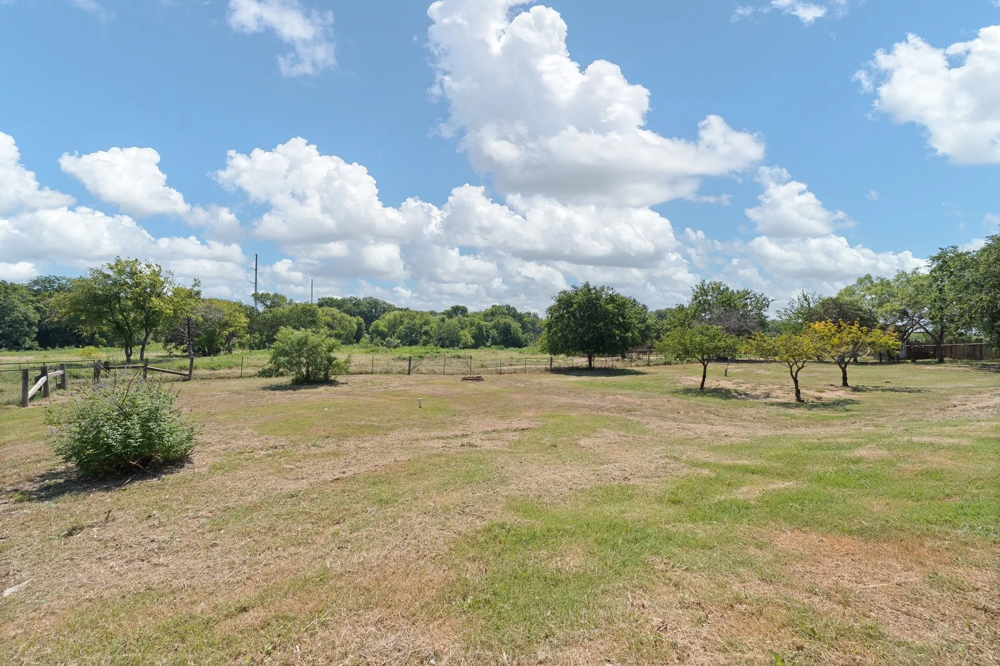 Expansive grassy lot with scattered trees and a natural perimeter of foliage