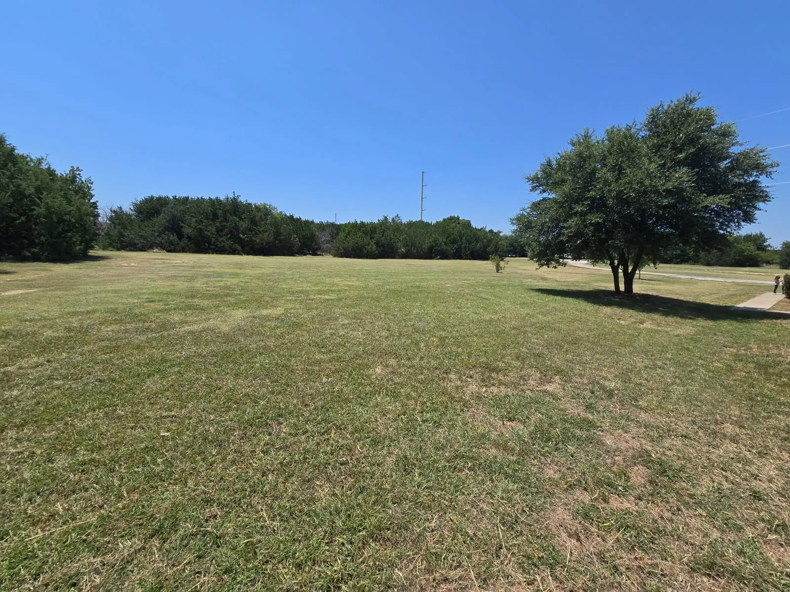 Expansive open field featuring natural grass, mature trees providing shade, and a clear blue sky overhead