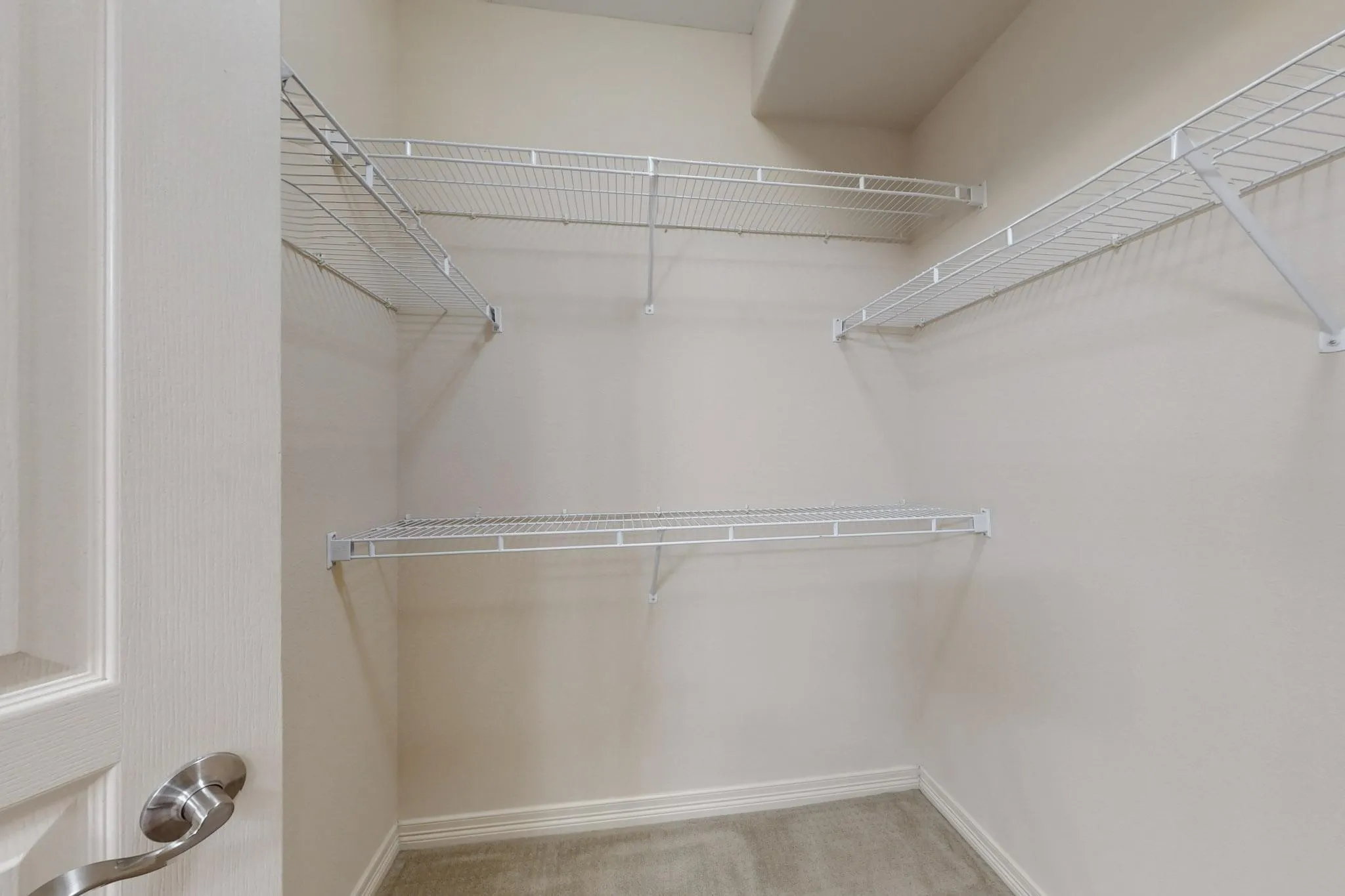 Spacious closet featuring light colored carpet