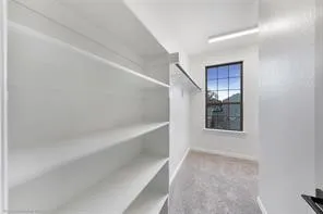Primary closet