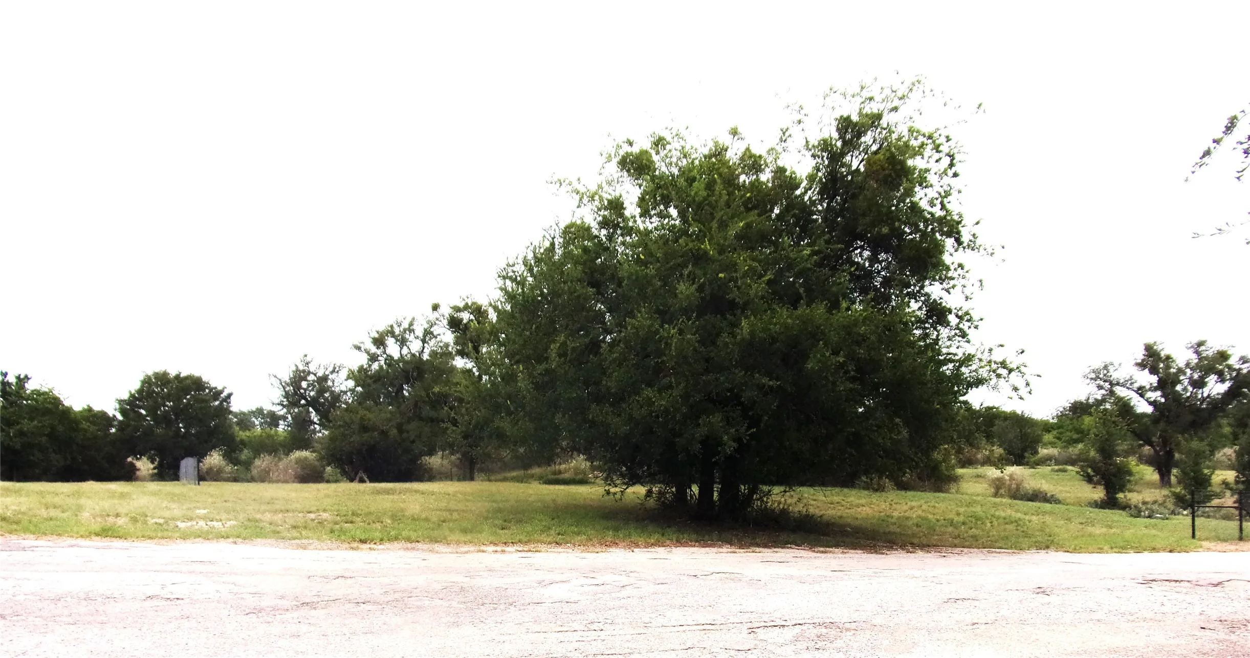 Unimproved Land For Sale in San Saba County , TBD 000 Clear St, San Saba, Texas 76877, 0, 0, Garage spaces, 0 Sqft, built in 0, Price $39,000, mls#21340970, Real Estate Agent in San Saba, Homes For Sale in San Saba county, Homes For Sale in San Saba, Realtor in San Saba Texas, Real Estate Brokerage Independent Realty Texas, Luminita Cordes Realtor