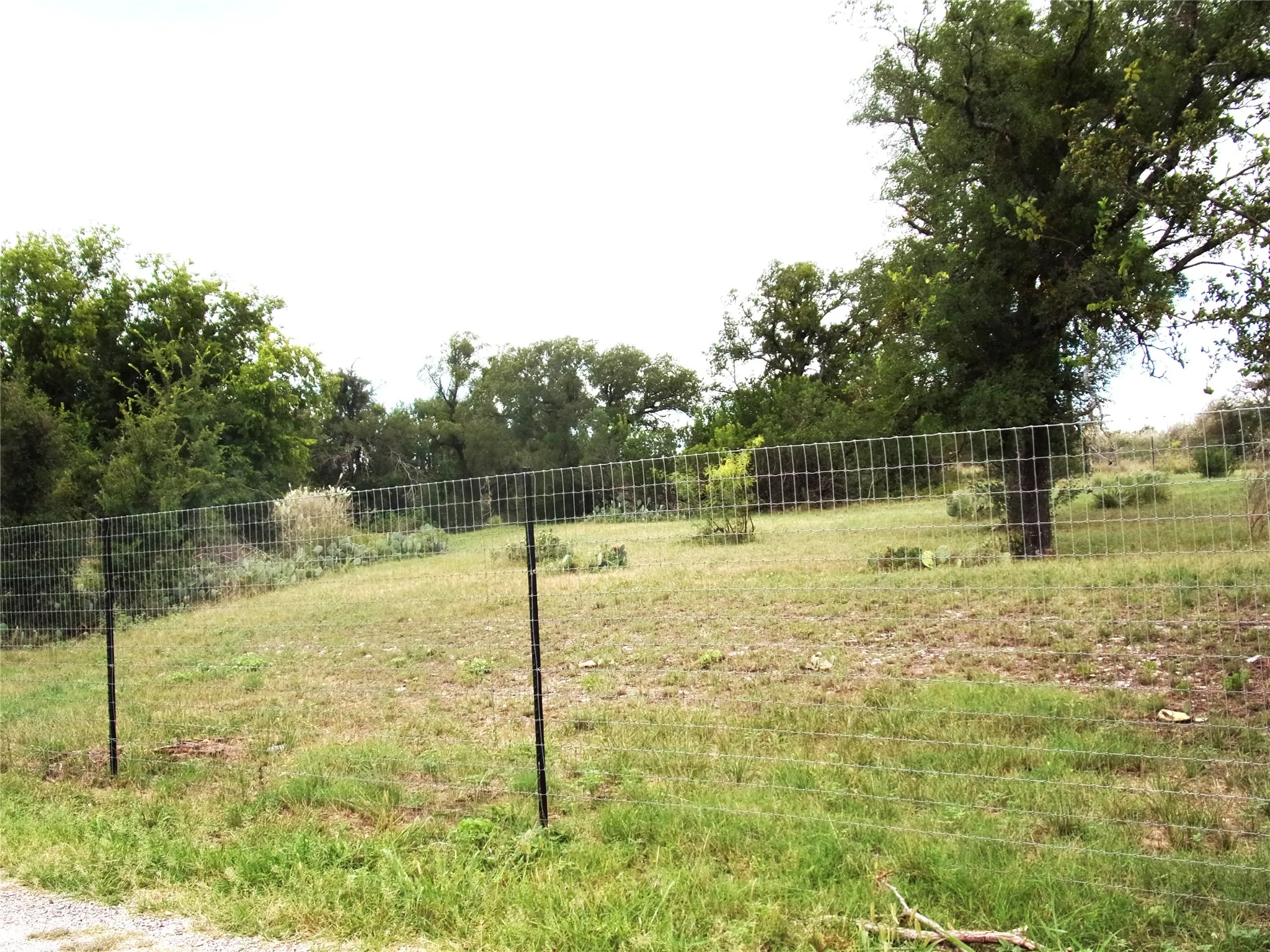 Unimproved Land For Sale in San Saba County , TBD 000 Clear St, San Saba, Texas 76877, 0, 0, Garage spaces, 0 Sqft, built in 0, Price $39,000, mls#21340970, Real Estate Agent in San Saba, Homes For Sale in San Saba county, Homes For Sale in San Saba, Realtor in San Saba Texas, Real Estate Brokerage Independent Realty Texas, Luminita Cordes Realtor