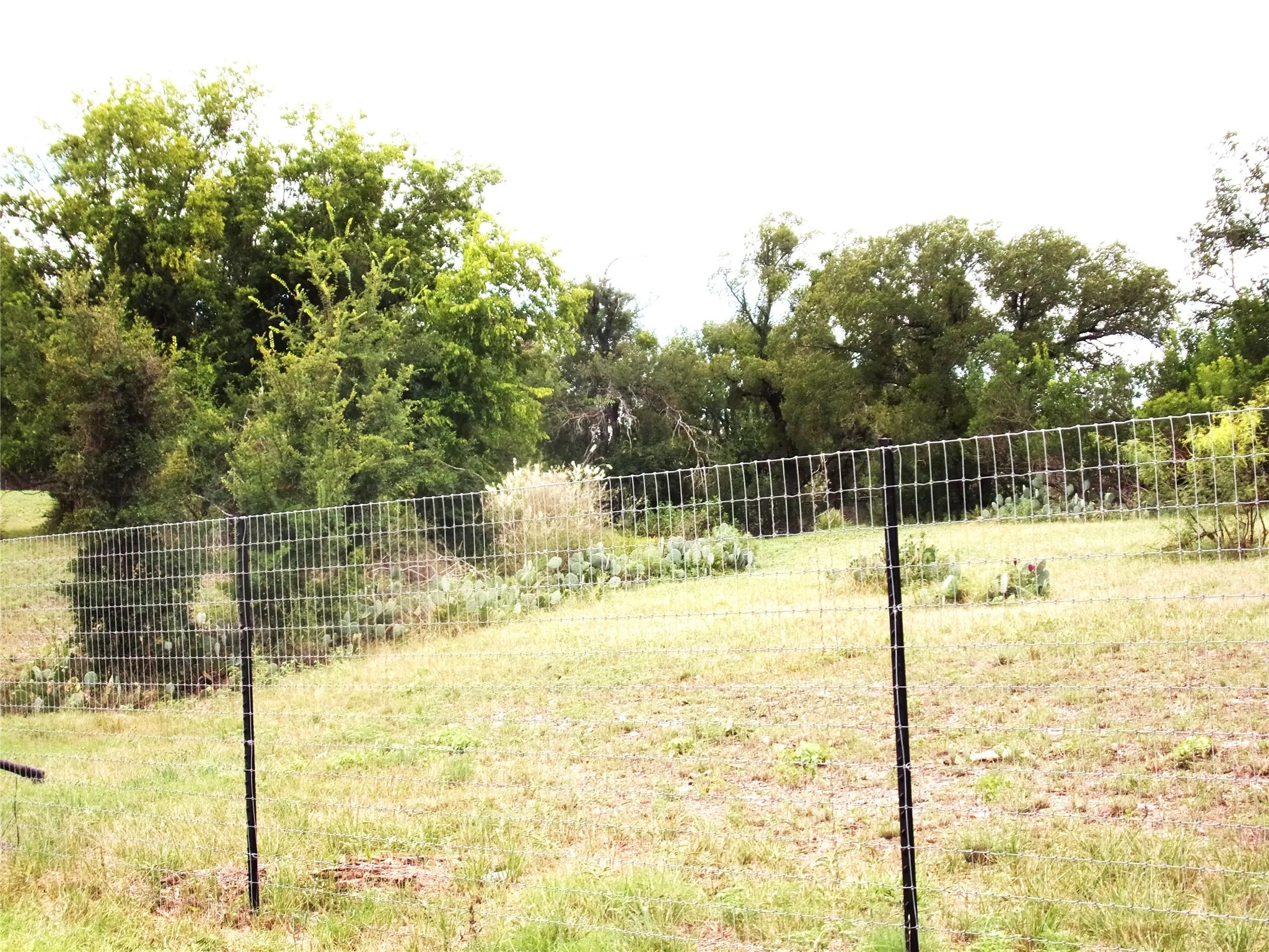 Unimproved Land For Sale in San Saba County , TBD 000 Clear St, San Saba, Texas 76877, 0, 0, Garage spaces, 0 Sqft, built in 0, Price $39,000, mls#21340970, Real Estate Agent in San Saba, Homes For Sale in San Saba county, Homes For Sale in San Saba, Realtor in San Saba Texas, Real Estate Brokerage Independent Realty Texas, Luminita Cordes Realtor