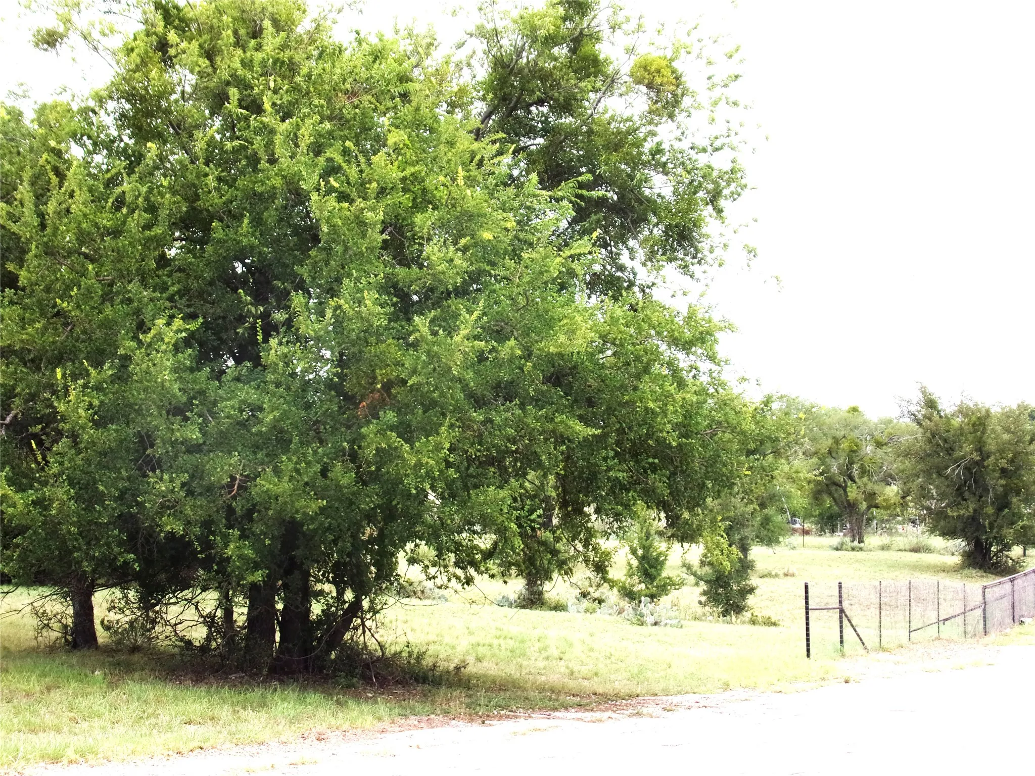 Unimproved Land For Sale in San Saba County , TBD 000 Clear St, San Saba, Texas 76877, 0, 0, Garage spaces, 0 Sqft, built in 0, Price $39,000, mls#21340970, Real Estate Agent in San Saba, Homes For Sale in San Saba county, Homes For Sale in San Saba, Realtor in San Saba Texas, Real Estate Brokerage Independent Realty Texas, Luminita Cordes Realtor