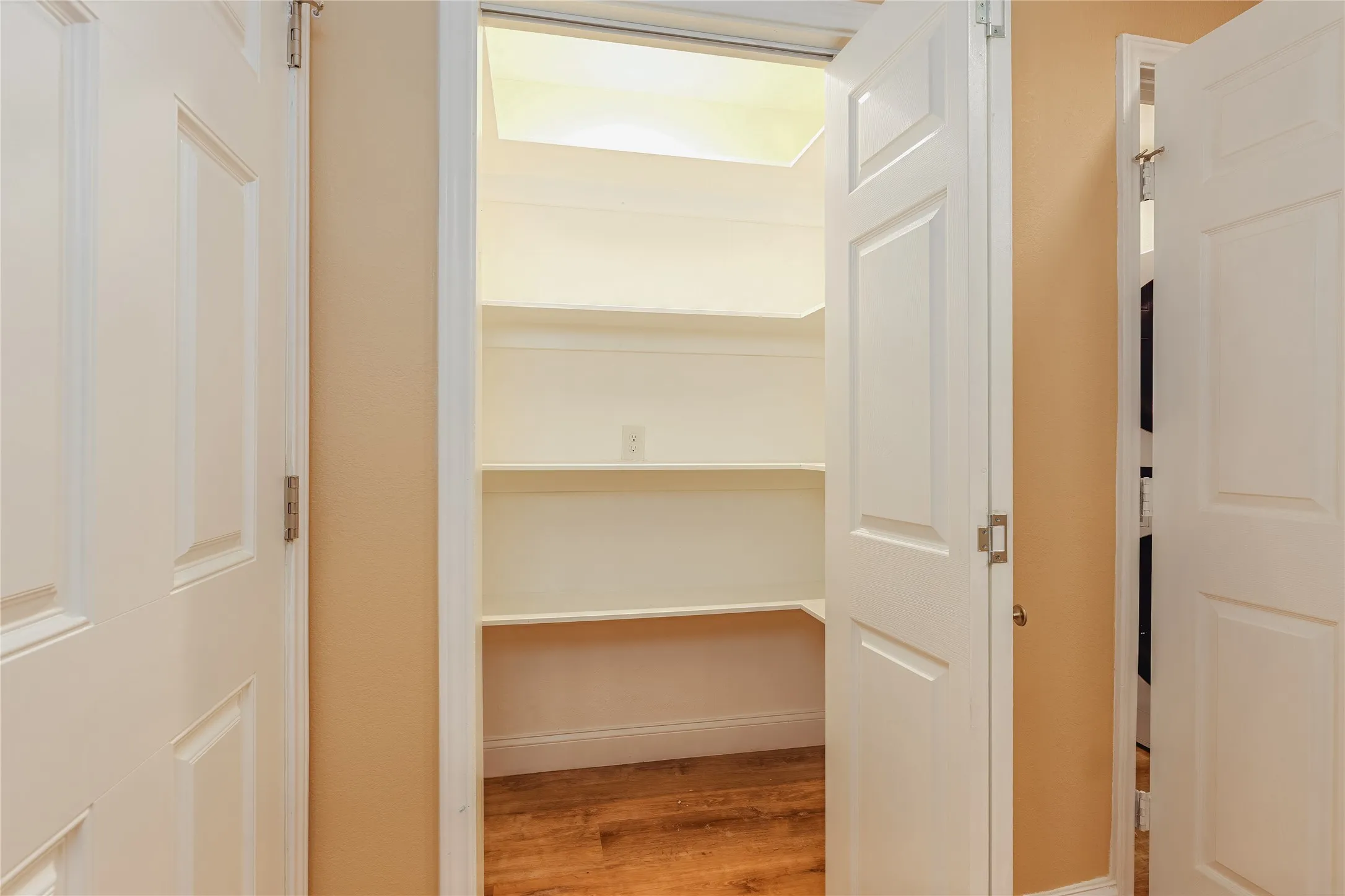 Large Walk-in Pantry