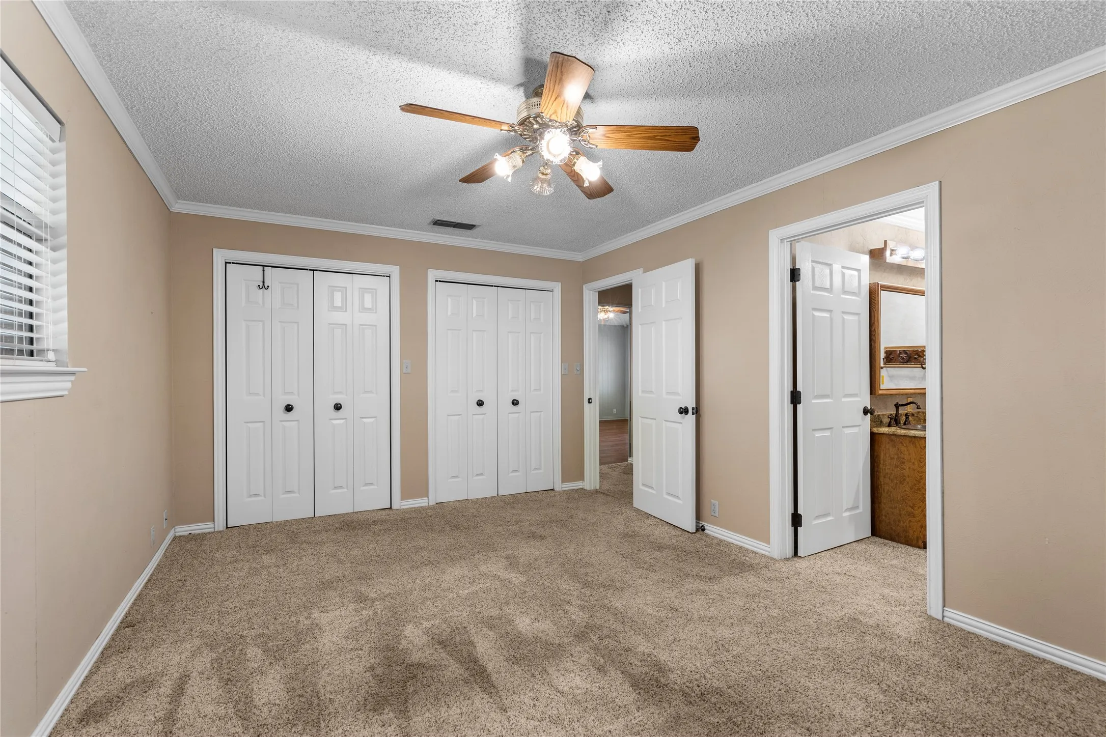 Primary view 2
