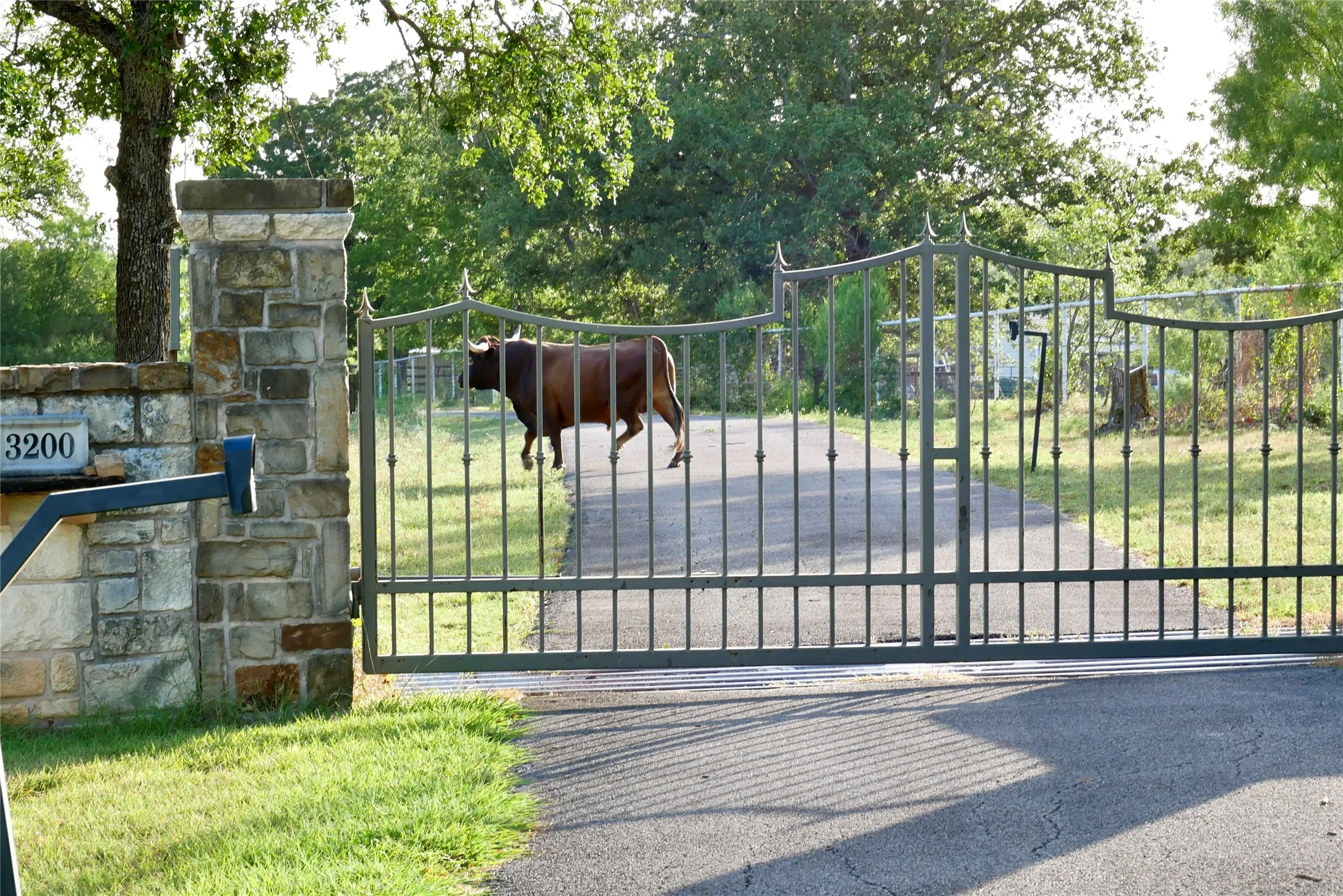 Farm For Sale in Hood County , 3200 Meander Road, Granbury, Texas 76049, 4 Bedrooms, 4 Bathrooms, 3 Garage spaces, 4,400 Sqft, built in 2005, Price $3,695,987, mls#21340281, Real Estate Agent in Granbury, Homes For Sale in Hood county, Homes For Sale in Granbury, Realtor in Granbury Texas, Real Estate Brokerage Independent Realty Texas, Luminita Cordes Realtor