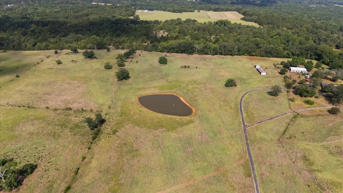 Farm For Sale in Van Zandt County , 280 Vz County Road 4821, Chandler, Texas 75758, 4 Bedroom, 4 Bathroom, 2 Garage spaces, 3,102 Sqft, built in 1994, mls#21339485, Real Estate Agent in Chandler, Homes For Sale in Van Zandt county, Homes For Sale in Chandler, Realtor in Chandler Texas, Real Estate Brokerage Independent Realty Texas, Luminita Cordes Realtor