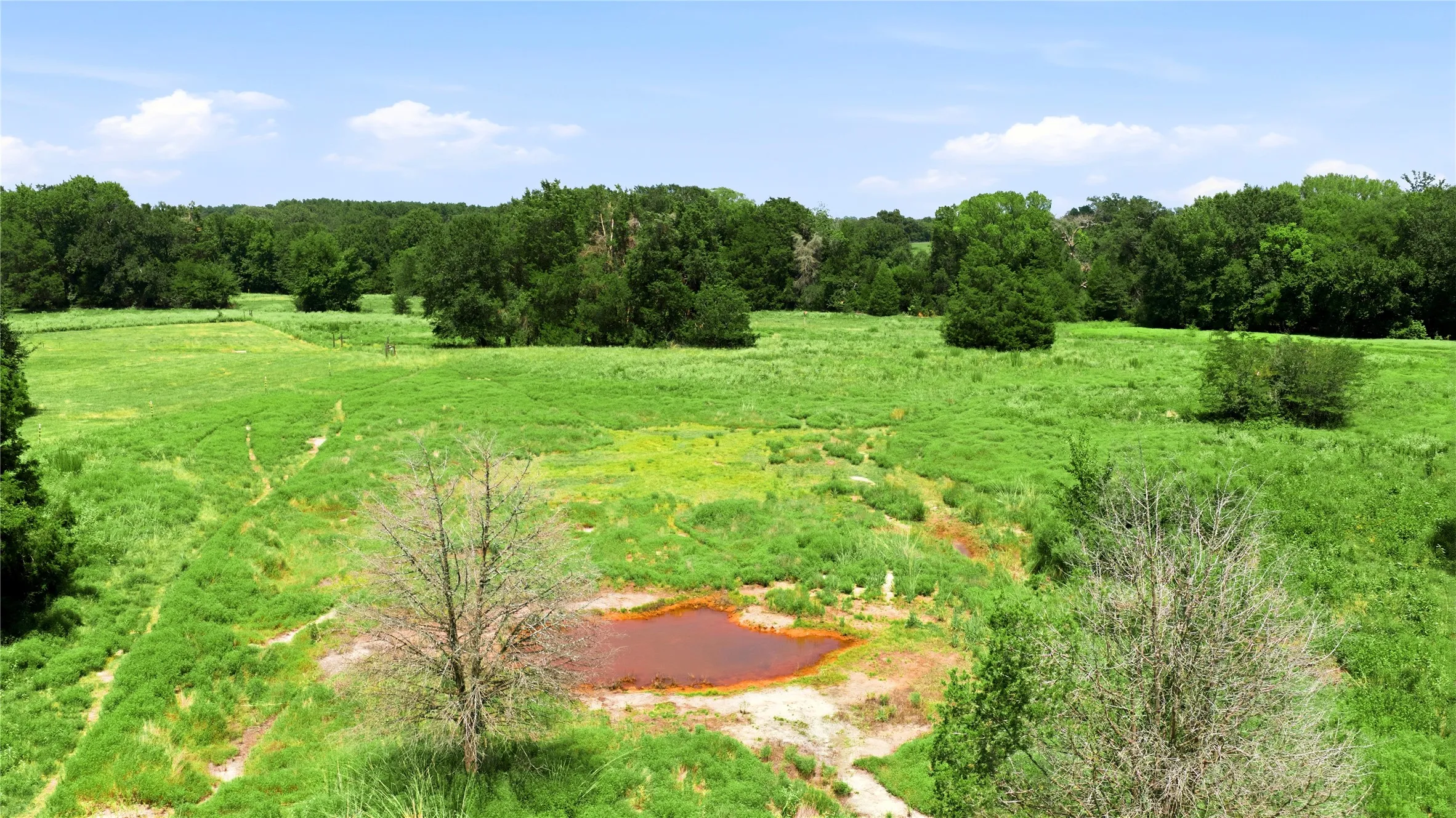 Unimproved Land For Sale in Henderson County , 10150 FM 2709, Eustace, Texas 75124, 0, 0, Garage spaces, 0 Sqft, built in 0, mls#21341092, Real Estate Agent in Eustace, Homes For Sale in Henderson county, Homes For Sale in Eustace, Realtor in Eustace Texas, Real Estate Brokerage Independent Realty Texas, Luminita Cordes Realtor