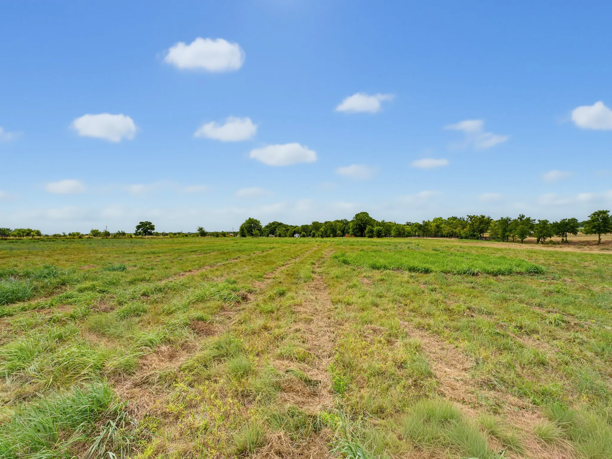 Unimproved Land For Sale in Wise County , 487 County Road 2514, Decatur, Texas 76234, 0, 0, Garage spaces, 0 Sqft, built in 0, mls#21337377, Real Estate Agent in Decatur, Homes For Sale in Wise county, Homes For Sale in Decatur, Realtor in Decatur Texas, Real Estate Brokerage Independent Realty Texas, Luminita Cordes Realtor