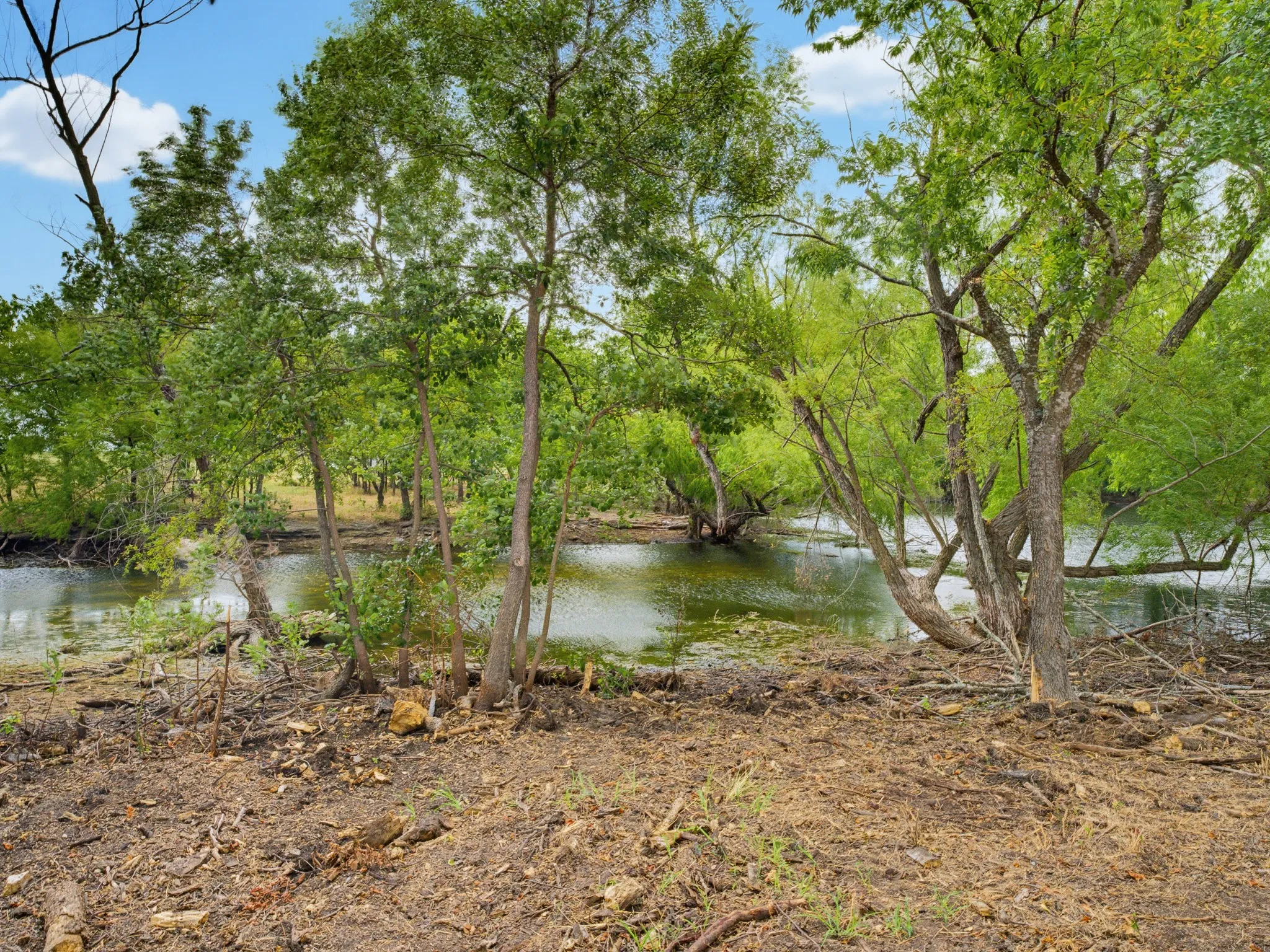 Unimproved Land For Sale in Wise County , 487 County Road 2514, Decatur, Texas 76234, 0, 0, Garage spaces, 0 Sqft, built in 0, mls#21337377, Real Estate Agent in Decatur, Homes For Sale in Wise county, Homes For Sale in Decatur, Realtor in Decatur Texas, Real Estate Brokerage Independent Realty Texas, Luminita Cordes Realtor