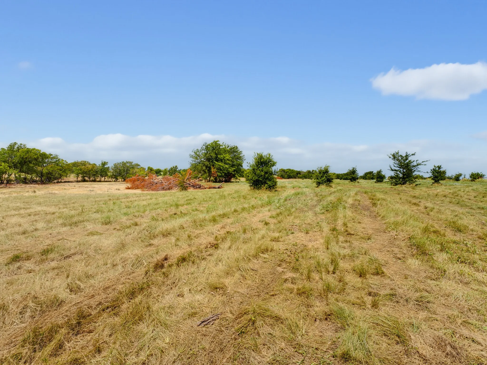 Unimproved Land For Sale in Wise County , 487 County Road 2514, Decatur, Texas 76234, 0, 0, Garage spaces, 0 Sqft, built in 0, mls#21337377, Real Estate Agent in Decatur, Homes For Sale in Wise county, Homes For Sale in Decatur, Realtor in Decatur Texas, Real Estate Brokerage Independent Realty Texas, Luminita Cordes Realtor
