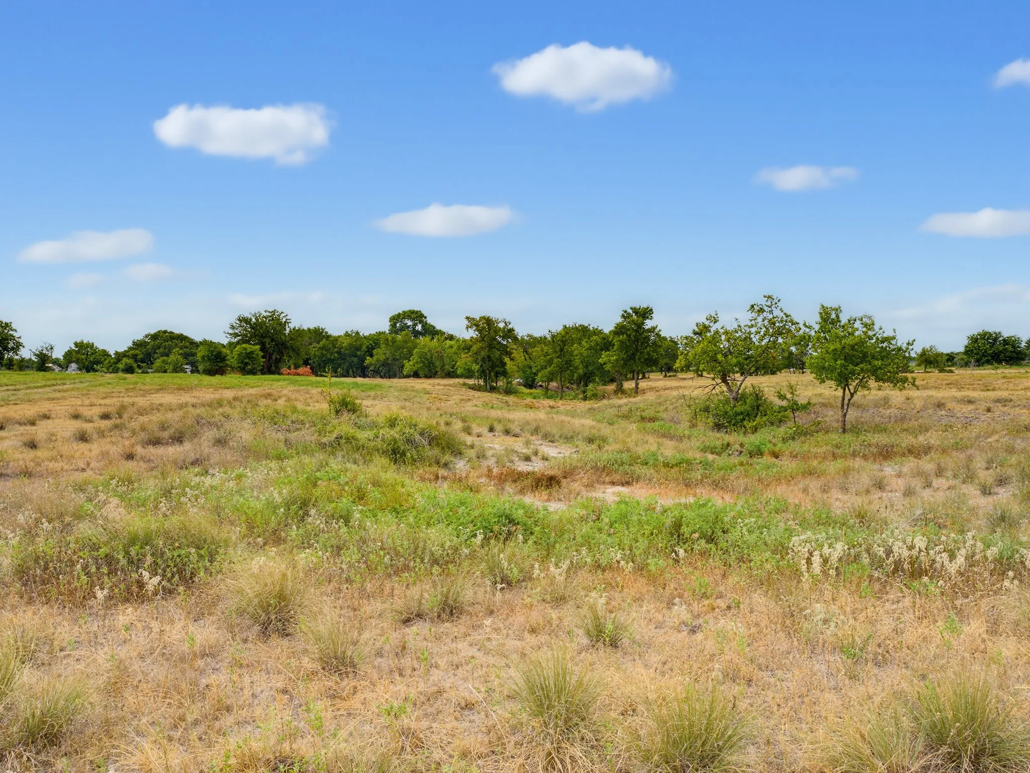 Unimproved Land For Sale in Wise County , 487 County Road 2514, Decatur, Texas 76234, 0, 0, Garage spaces, 0 Sqft, built in 0, mls#21337377, Real Estate Agent in Decatur, Homes For Sale in Wise county, Homes For Sale in Decatur, Realtor in Decatur Texas, Real Estate Brokerage Independent Realty Texas, Luminita Cordes Realtor