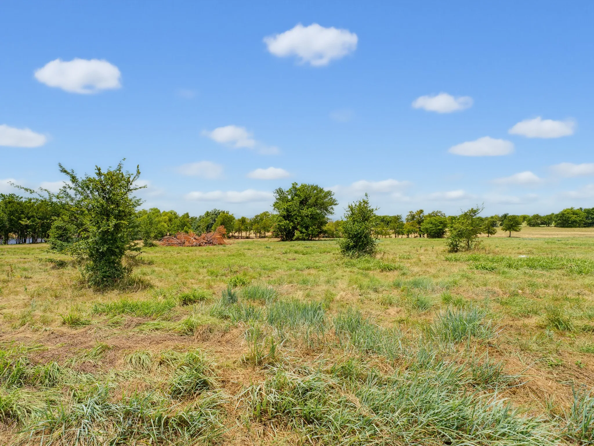 Unimproved Land For Sale in Wise County , 487 County Road 2514, Decatur, Texas 76234, 0, 0, Garage spaces, 0 Sqft, built in 0, mls#21337377, Real Estate Agent in Decatur, Homes For Sale in Wise county, Homes For Sale in Decatur, Realtor in Decatur Texas, Real Estate Brokerage Independent Realty Texas, Luminita Cordes Realtor