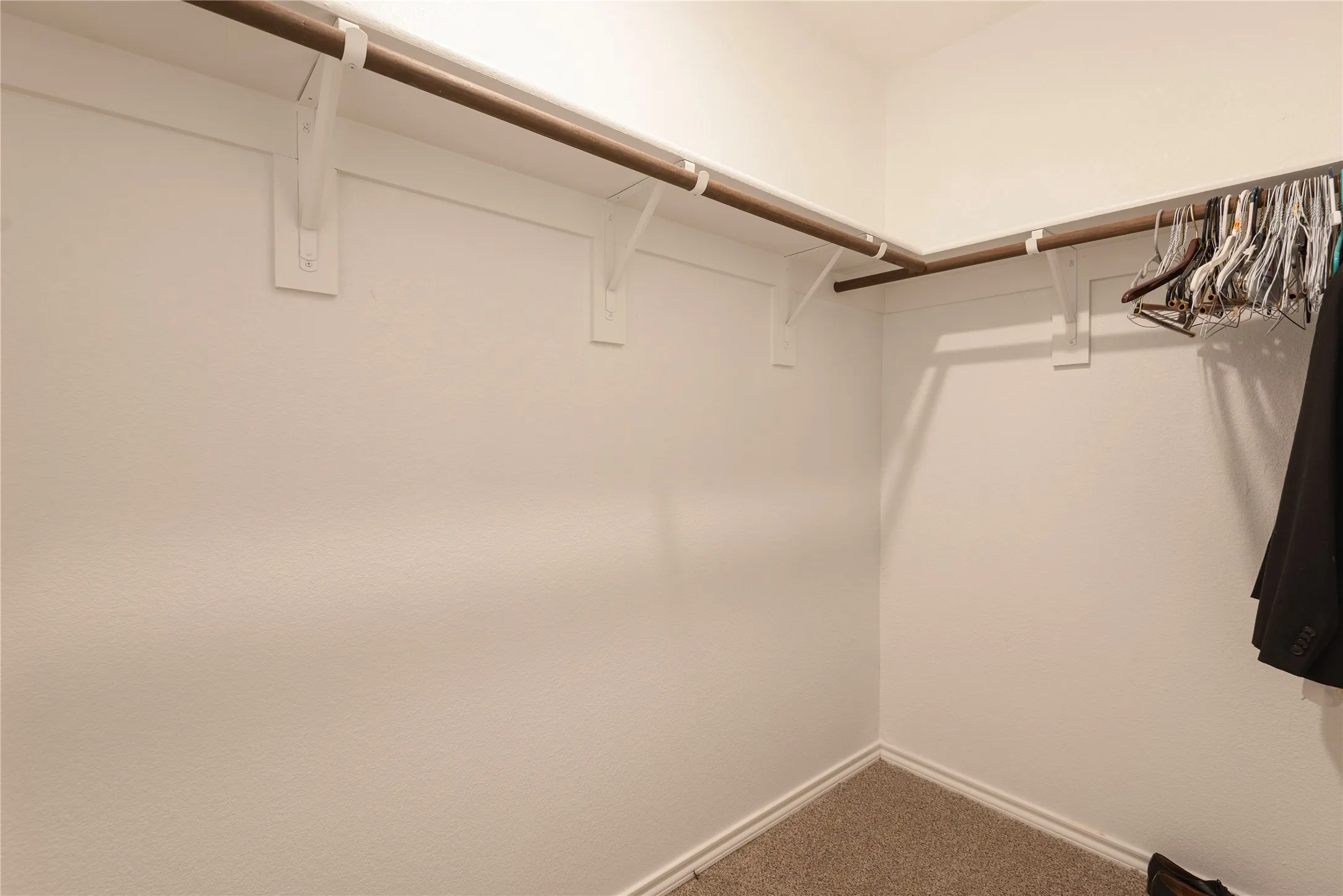 Walk-in closet featuring an L-shaped hanging rod system, white walls, and neutral carpet flooring