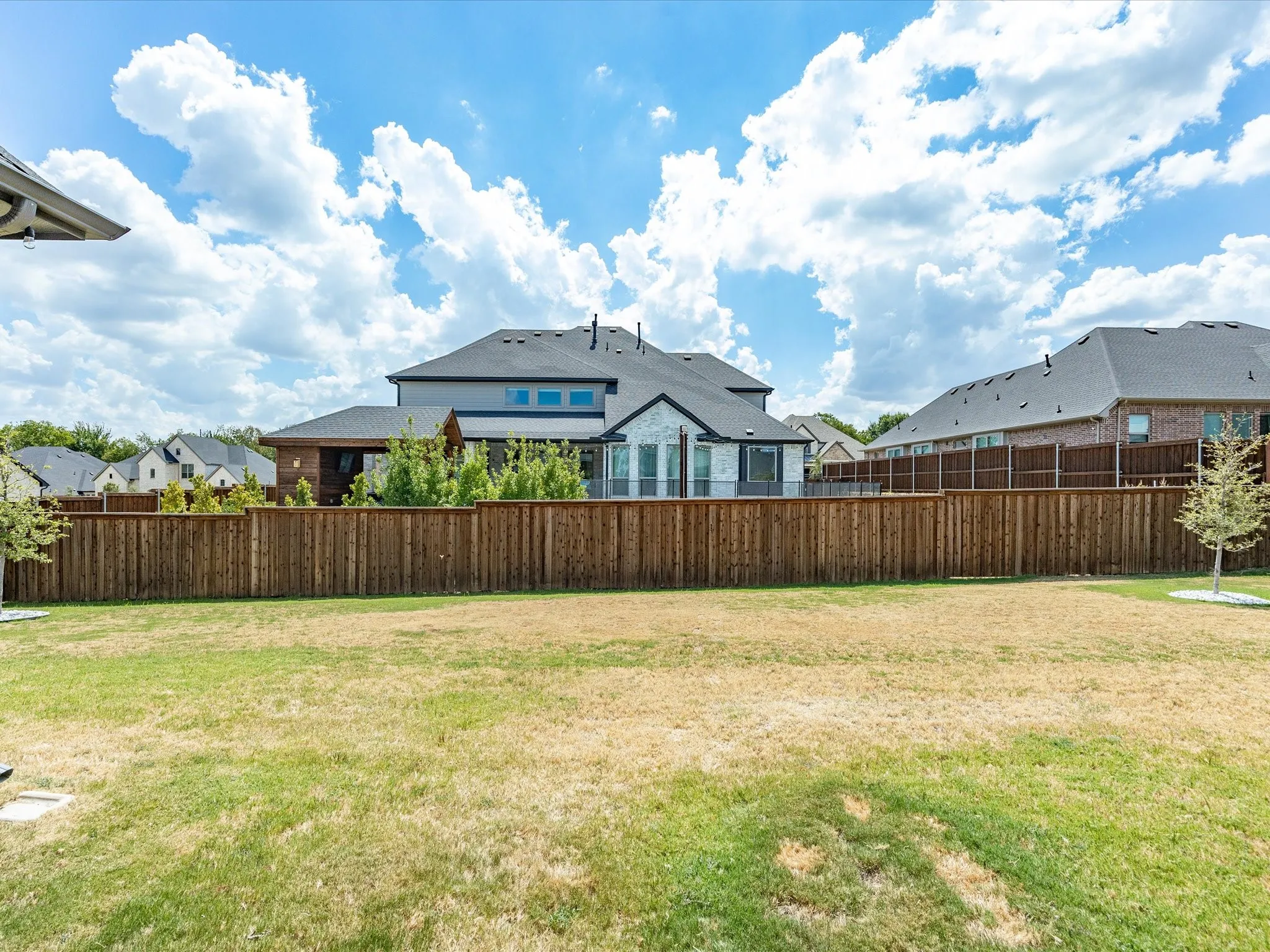 Expansive backyard with a wood privacy fence and a young tree