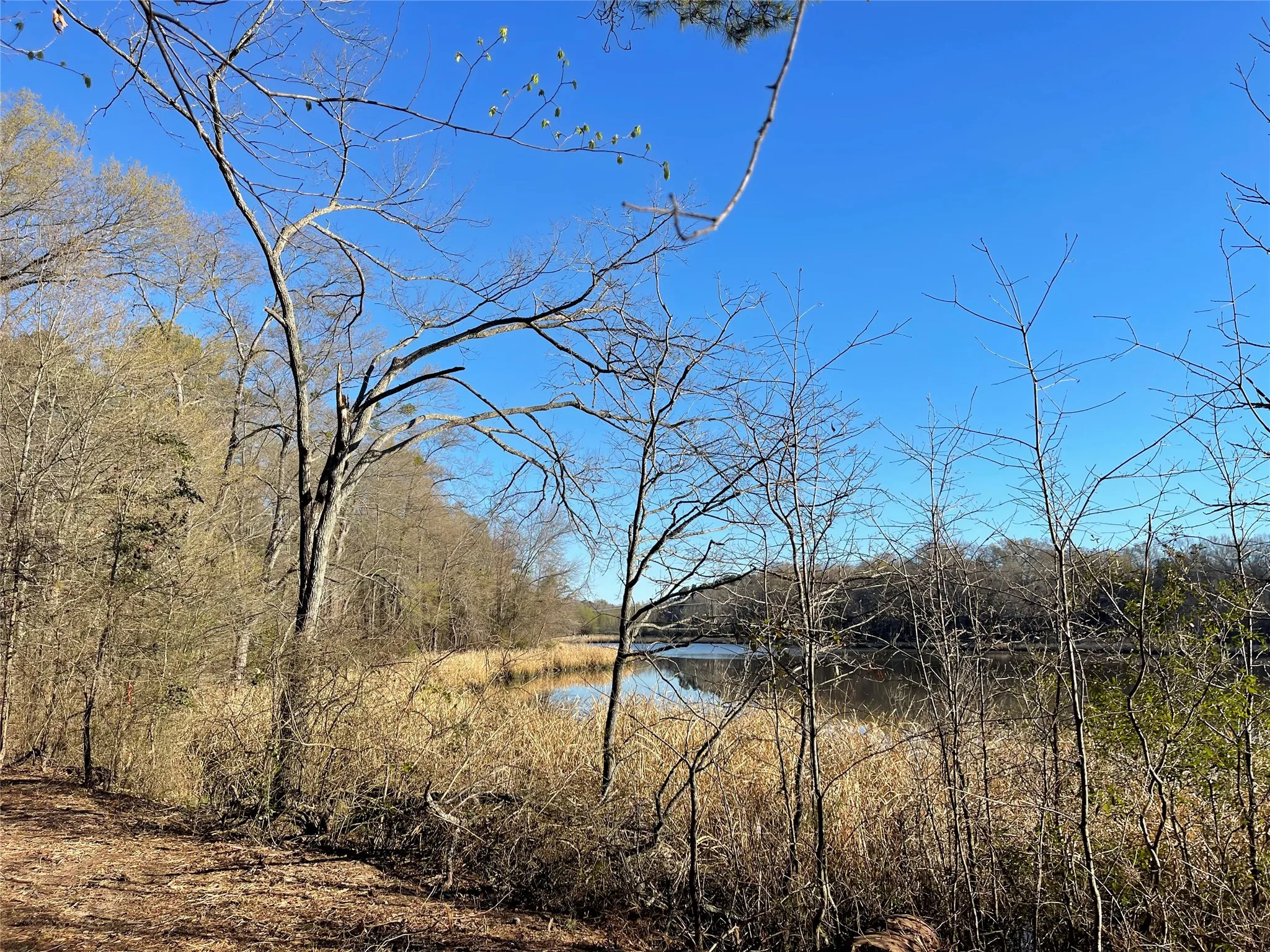 Unimproved Land For Sale in Wood County , TBD Lot 3 County Road 2200, Mineola, Texas 75773, 0, 0, Garage spaces, 0 Sqft, built in 0, Price $87,500, mls#21294198, Real Estate Agent in Mineola, Homes For Sale in Wood county, Homes For Sale in Mineola, Realtor in Mineola Texas, Real Estate Brokerage Independent Realty Texas, Luminita Cordes Realtor