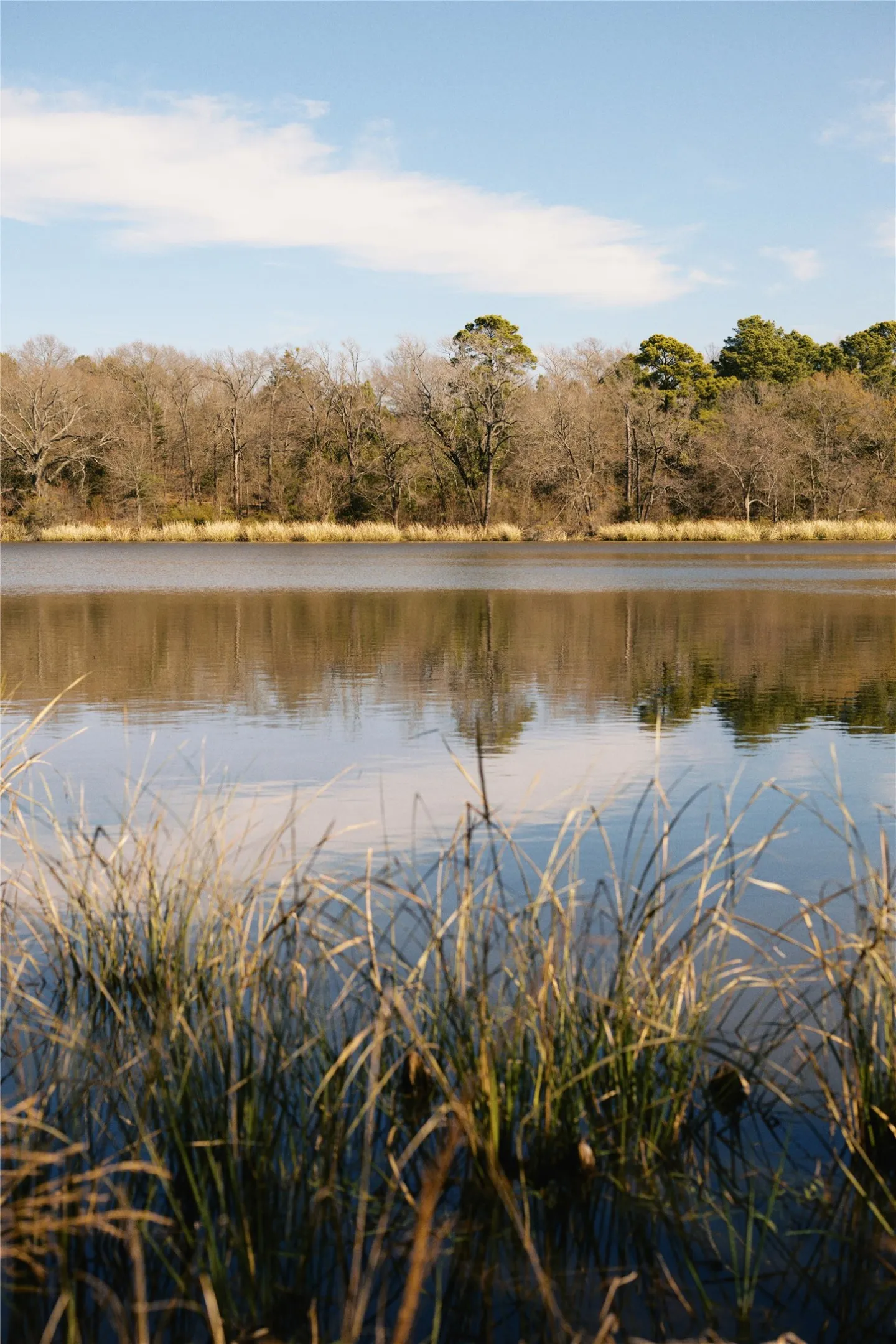 Unimproved Land For Sale in Wood County , TBD Lot 3 County Road 2200, Mineola, Texas 75773, 0, 0, Garage spaces, 0 Sqft, built in 0, Price $87,500, mls#21294198, Real Estate Agent in Mineola, Homes For Sale in Wood county, Homes For Sale in Mineola, Realtor in Mineola Texas, Real Estate Brokerage Independent Realty Texas, Luminita Cordes Realtor