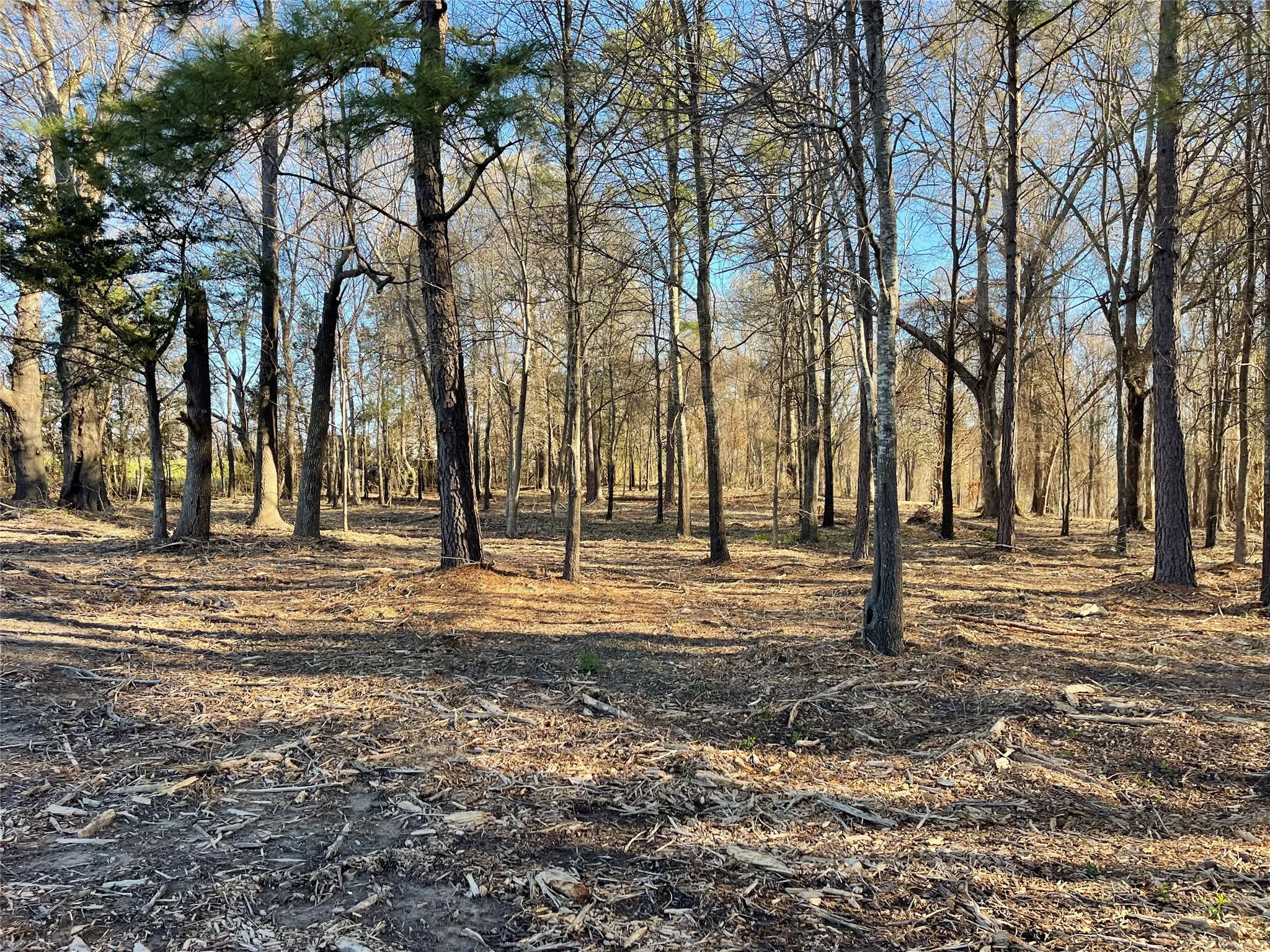 Unimproved Land For Sale in Wood County , TBD Lot 3 County Road 2200, Mineola, Texas 75773, 0, 0, Garage spaces, 0 Sqft, built in 0, Price $87,500, mls#21294198, Real Estate Agent in Mineola, Homes For Sale in Wood county, Homes For Sale in Mineola, Realtor in Mineola Texas, Real Estate Brokerage Independent Realty Texas, Luminita Cordes Realtor