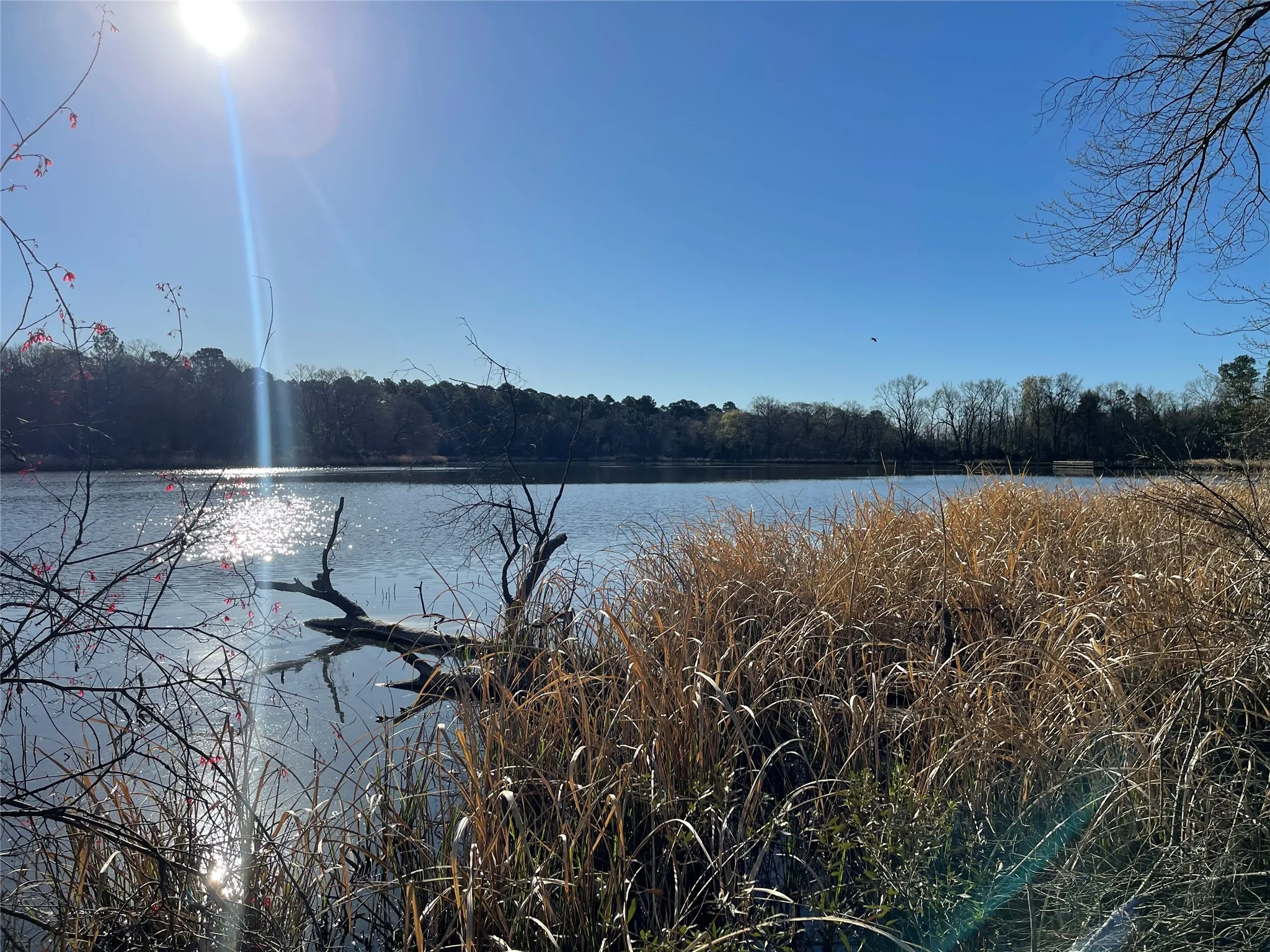 Unimproved Land For Sale in Wood County , TBD Lot 3 County Road 2200, Mineola, Texas 75773, 0, 0, Garage spaces, 0 Sqft, built in 0, Price $87,500, mls#21294198, Real Estate Agent in Mineola, Homes For Sale in Wood county, Homes For Sale in Mineola, Realtor in Mineola Texas, Real Estate Brokerage Independent Realty Texas, Luminita Cordes Realtor