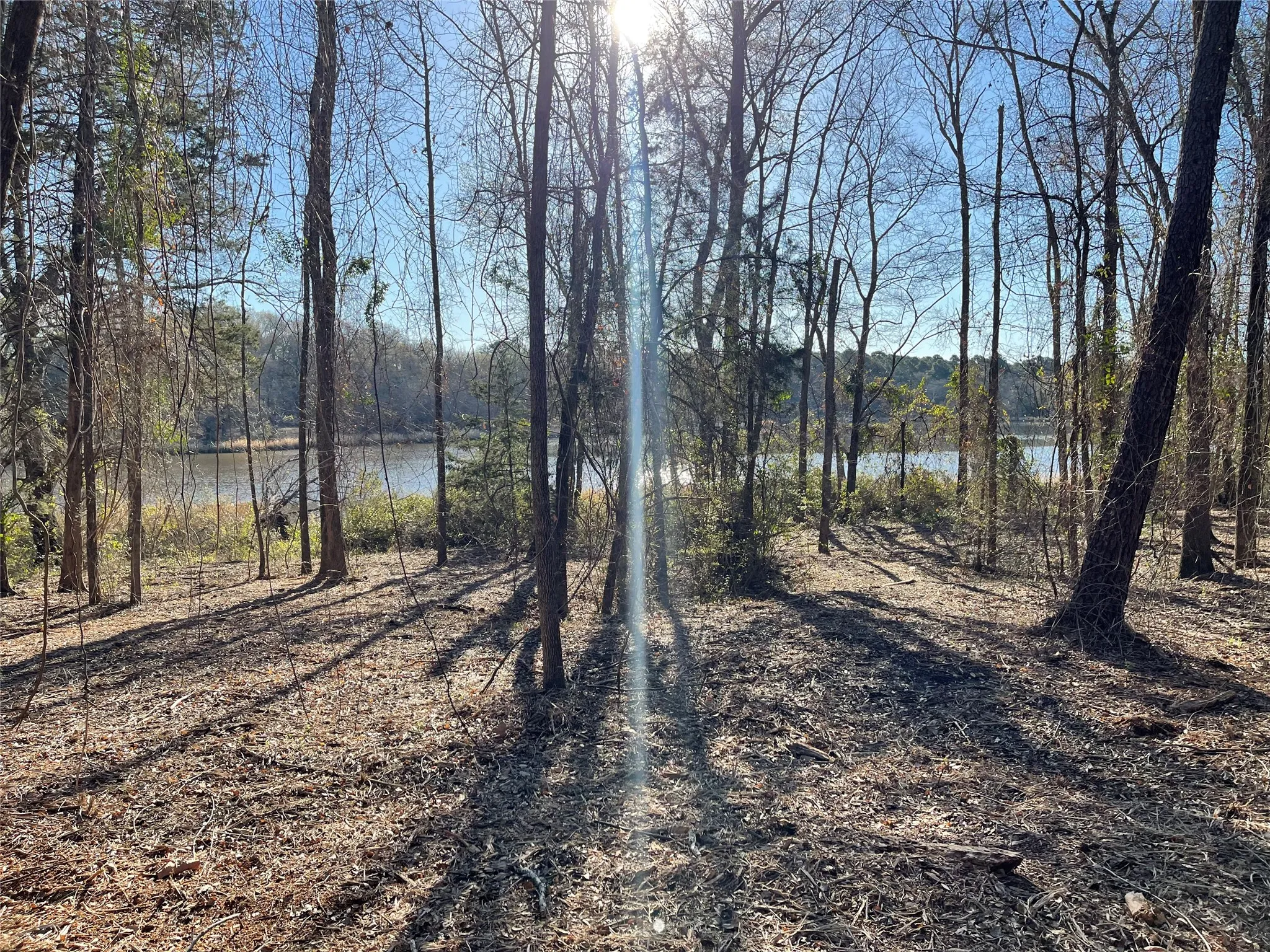 Unimproved Land For Sale in Wood County , TBD Lot 3 County Road 2200, Mineola, Texas 75773, 0, 0, Garage spaces, 0 Sqft, built in 0, Price $87,500, mls#21294198, Real Estate Agent in Mineola, Homes For Sale in Wood county, Homes For Sale in Mineola, Realtor in Mineola Texas, Real Estate Brokerage Independent Realty Texas, Luminita Cordes Realtor