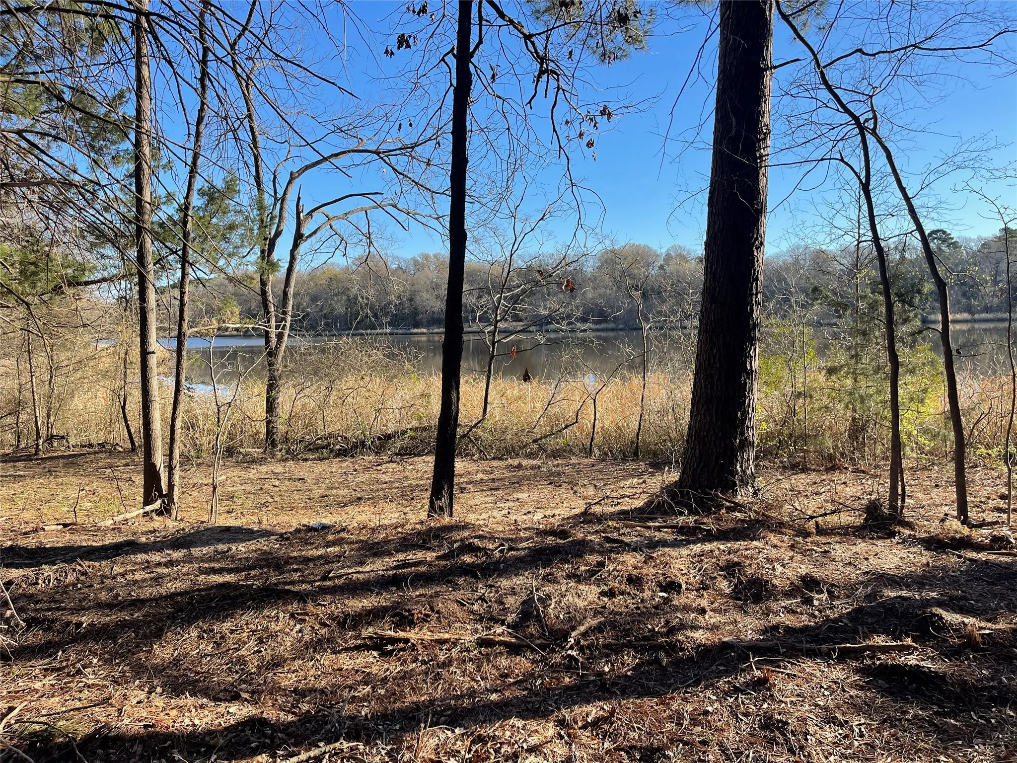 Unimproved Land For Sale in Wood County , TBD Lot 3 County Road 2200, Mineola, Texas 75773, 0, 0, Garage spaces, 0 Sqft, built in 0, Price $87,500, mls#21294198, Real Estate Agent in Mineola, Homes For Sale in Wood county, Homes For Sale in Mineola, Realtor in Mineola Texas, Real Estate Brokerage Independent Realty Texas, Luminita Cordes Realtor