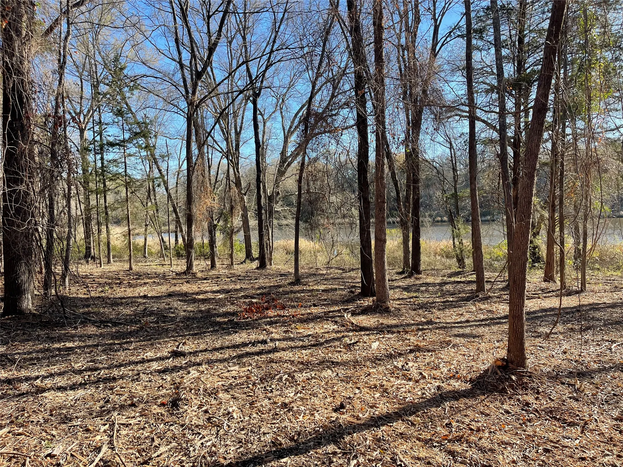 Unimproved Land For Sale in Wood County , TBD Lot 3 County Road 2200, Mineola, Texas 75773, 0, 0, Garage spaces, 0 Sqft, built in 0, Price $87,500, mls#21294198, Real Estate Agent in Mineola, Homes For Sale in Wood county, Homes For Sale in Mineola, Realtor in Mineola Texas, Real Estate Brokerage Independent Realty Texas, Luminita Cordes Realtor