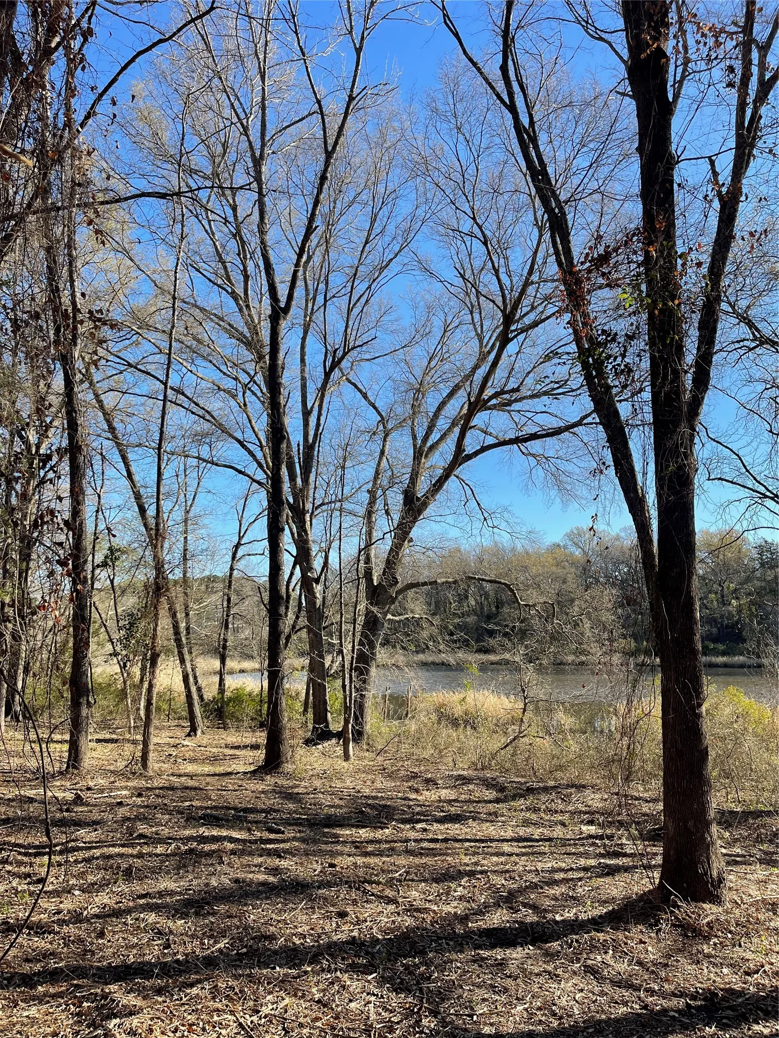 Unimproved Land For Sale in Wood County , TBD Lot 3 County Road 2200, Mineola, Texas 75773, 0, 0, Garage spaces, 0 Sqft, built in 0, Price $87,500, mls#21294198, Real Estate Agent in Mineola, Homes For Sale in Wood county, Homes For Sale in Mineola, Realtor in Mineola Texas, Real Estate Brokerage Independent Realty Texas, Luminita Cordes Realtor