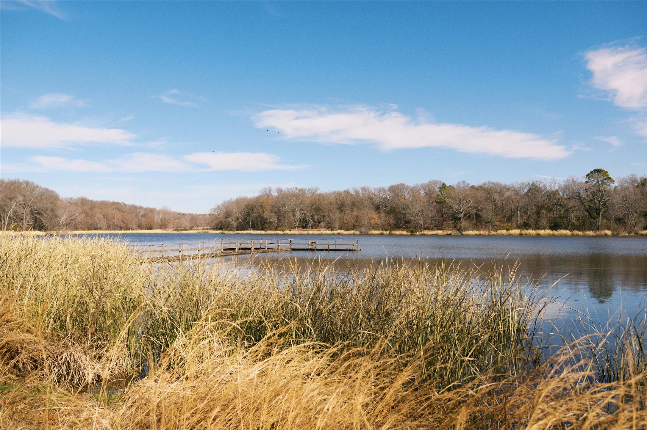 Unimproved Land For Sale in Wood County , TBD Lot 3 County Road 2200, Mineola, Texas 75773, 0, 0, Garage spaces, 0 Sqft, built in 0, Price $87,500, mls#21294198, Real Estate Agent in Mineola, Homes For Sale in Wood county, Homes For Sale in Mineola, Realtor in Mineola Texas, Real Estate Brokerage Independent Realty Texas, Luminita Cordes Realtor
