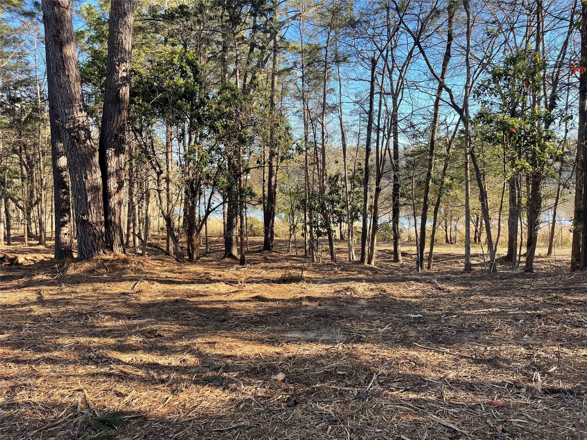 Unimproved Land For Sale in Wood County , TBD Lot 3 County Road 2200, Mineola, Texas 75773, 0, 0, Garage spaces, 0 Sqft, built in 0, Price $87,500, mls#21294198, Real Estate Agent in Mineola, Homes For Sale in Wood county, Homes For Sale in Mineola, Realtor in Mineola Texas, Real Estate Brokerage Independent Realty Texas, Luminita Cordes Realtor