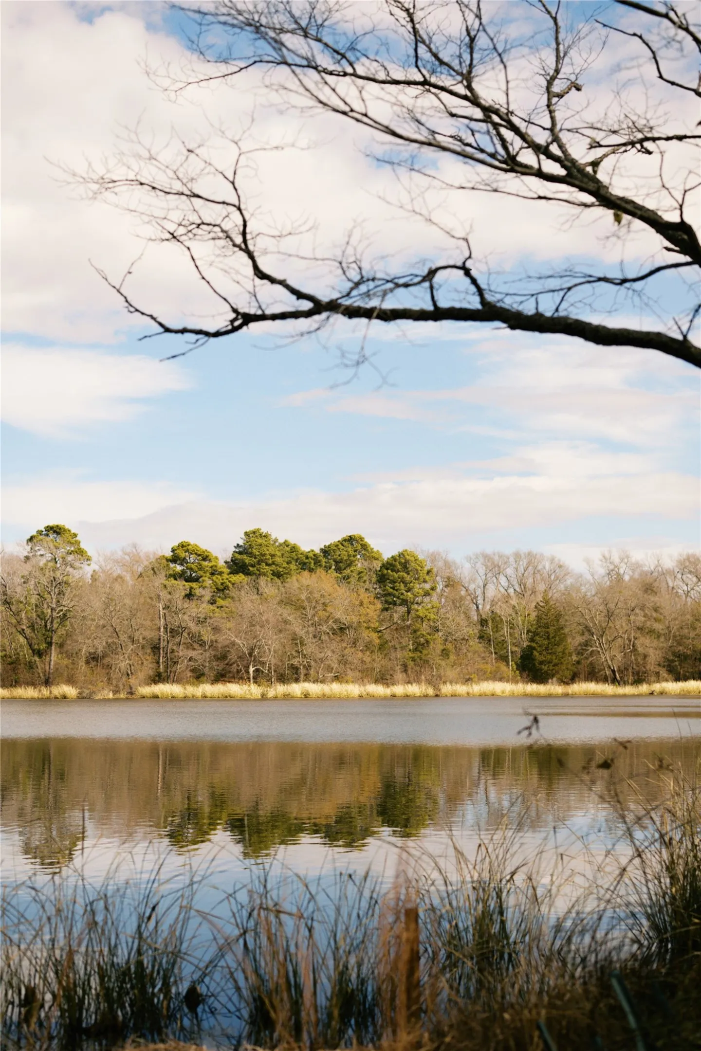 Unimproved Land For Sale in Wood County , TBD Lot 3 County Road 2200, Mineola, Texas 75773, 0, 0, Garage spaces, 0 Sqft, built in 0, Price $87,500, mls#21294198, Real Estate Agent in Mineola, Homes For Sale in Wood county, Homes For Sale in Mineola, Realtor in Mineola Texas, Real Estate Brokerage Independent Realty Texas, Luminita Cordes Realtor