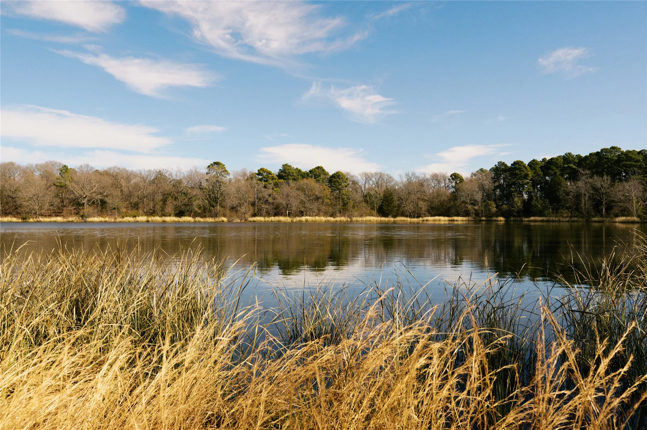 Unimproved Land For Sale in Wood County , TBD Lot 3 County Road 2200, Mineola, Texas 75773, 0, 0, Garage spaces, 0 Sqft, built in 0, Price $87,500, mls#21294198, Real Estate Agent in Mineola, Homes For Sale in Wood county, Homes For Sale in Mineola, Realtor in Mineola Texas, Real Estate Brokerage Independent Realty Texas, Luminita Cordes Realtor