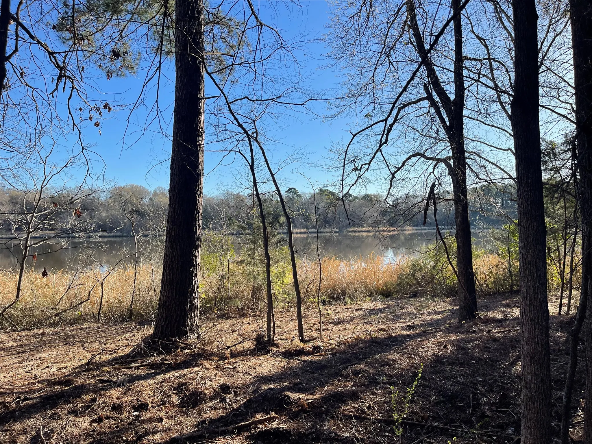 Unimproved Land For Sale in Wood County , TBD Lot 3 County Road 2200, Mineola, Texas 75773, 0, 0, Garage spaces, 0 Sqft, built in 0, Price $87,500, mls#21294198, Real Estate Agent in Mineola, Homes For Sale in Wood county, Homes For Sale in Mineola, Realtor in Mineola Texas, Real Estate Brokerage Independent Realty Texas, Luminita Cordes Realtor