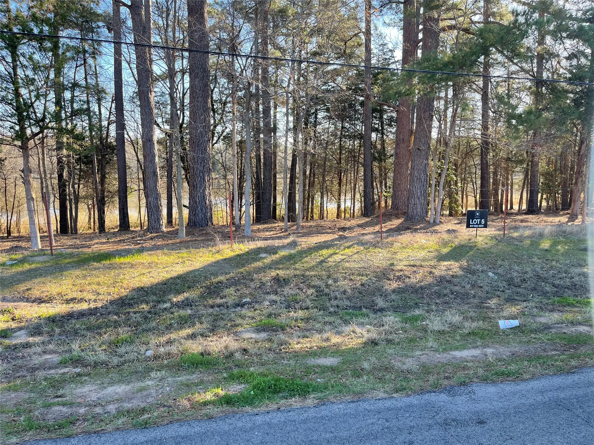 Unimproved Land For Sale in Wood County , TBD Lot 3 County Road 2200, Mineola, Texas 75773, 0, 0, Garage spaces, 0 Sqft, built in 0, Price $87,500, mls#21294198, Real Estate Agent in Mineola, Homes For Sale in Wood county, Homes For Sale in Mineola, Realtor in Mineola Texas, Real Estate Brokerage Independent Realty Texas, Luminita Cordes Realtor