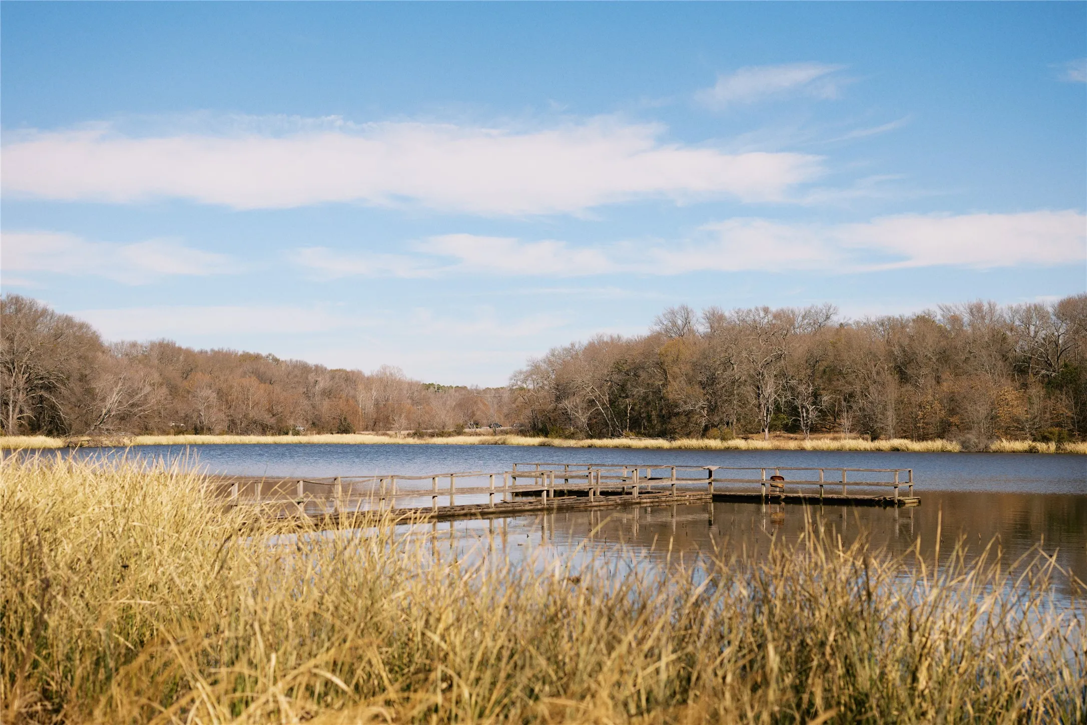 Unimproved Land For Sale in Wood County , TBD Lot 3 County Road 2200, Mineola, Texas 75773, 0, 0, Garage spaces, 0 Sqft, built in 0, Price $87,500, mls#21294198, Real Estate Agent in Mineola, Homes For Sale in Wood county, Homes For Sale in Mineola, Realtor in Mineola Texas, Real Estate Brokerage Independent Realty Texas, Luminita Cordes Realtor