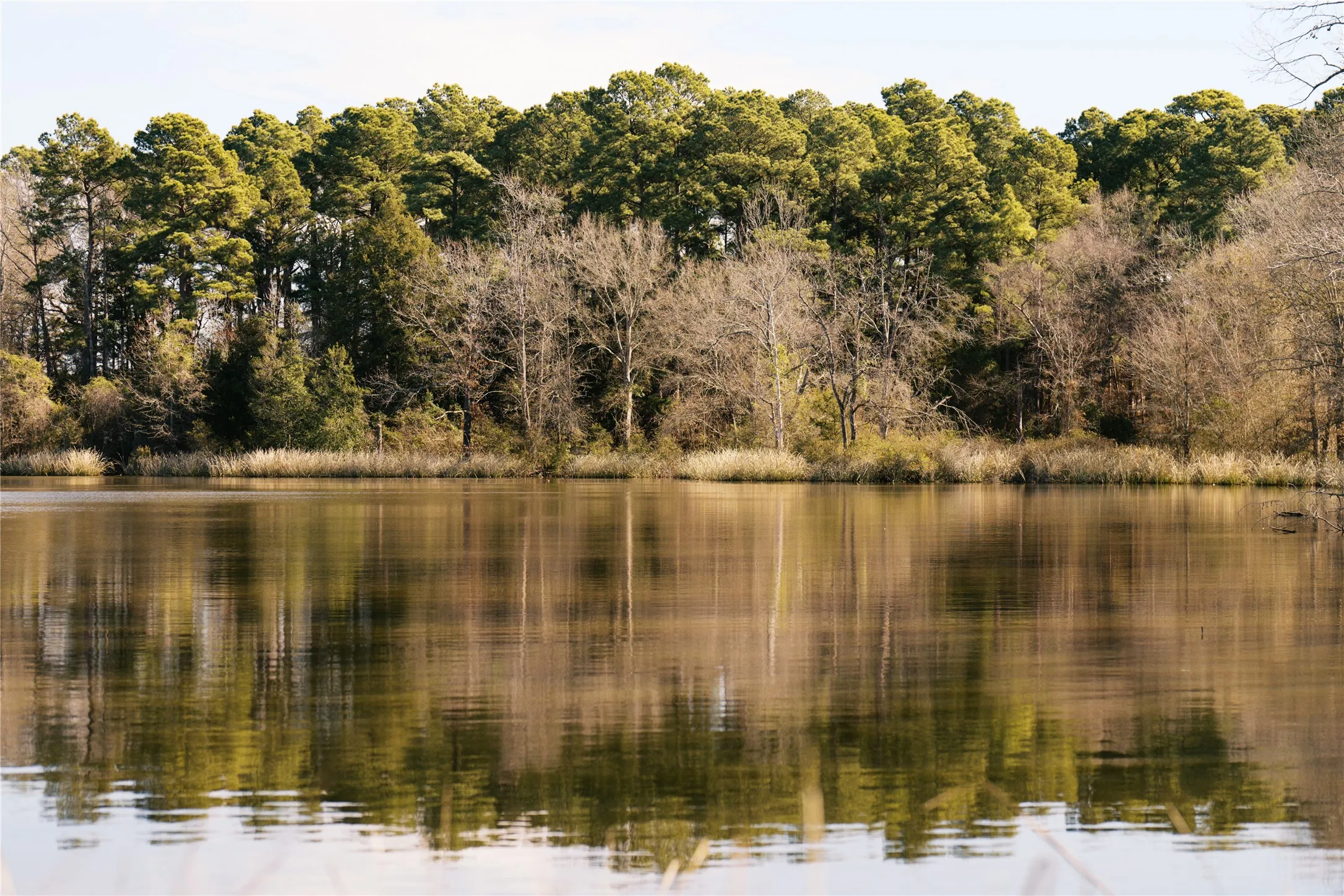 Unimproved Land For Sale in Wood County , TBD Lot 3 County Road 2200, Mineola, Texas 75773, 0, 0, Garage spaces, 0 Sqft, built in 0, Price $87,500, mls#21294198, Real Estate Agent in Mineola, Homes For Sale in Wood county, Homes For Sale in Mineola, Realtor in Mineola Texas, Real Estate Brokerage Independent Realty Texas, Luminita Cordes Realtor